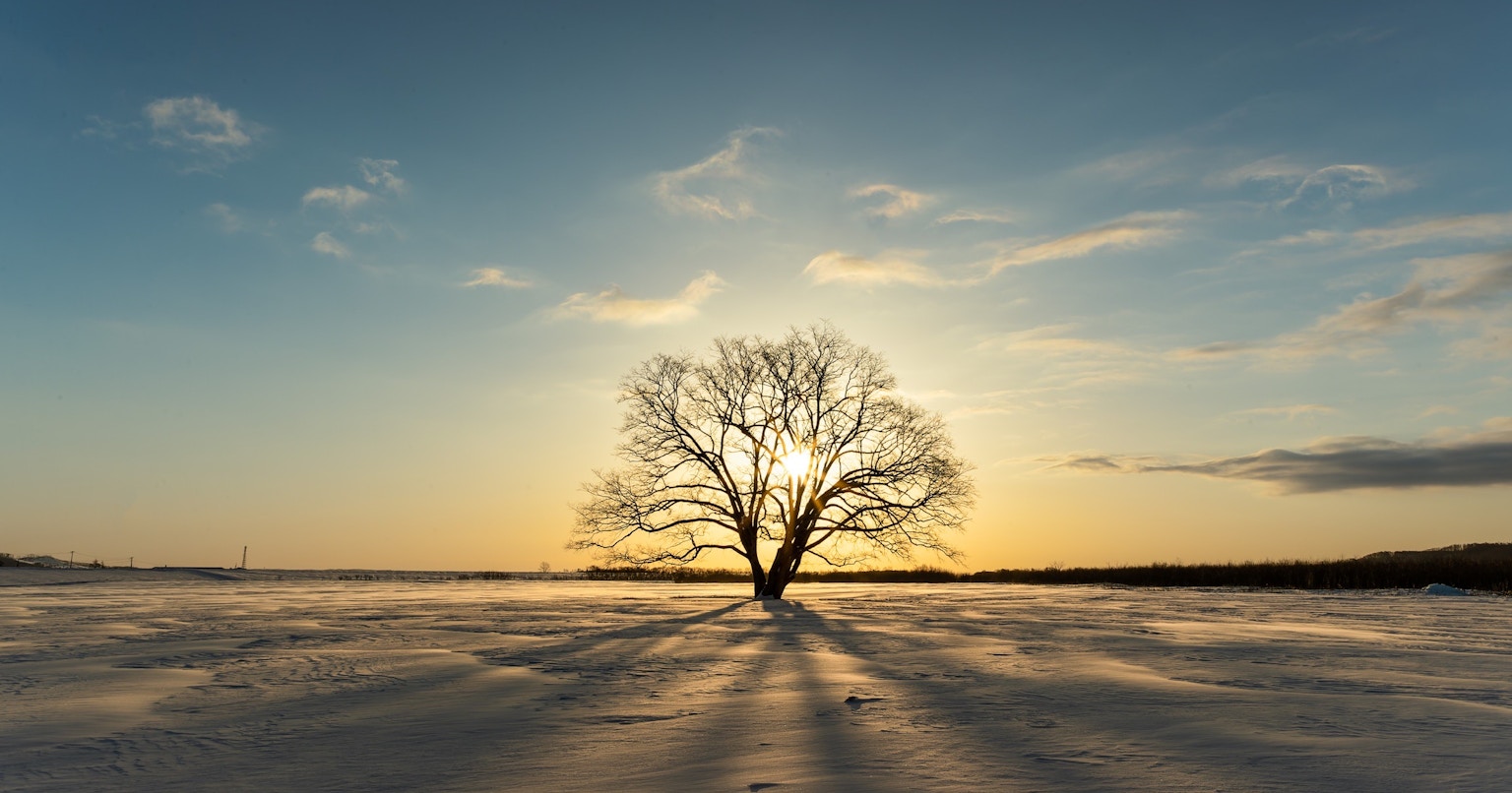 2023-12-visual-symphony-in-round-award-cover-image