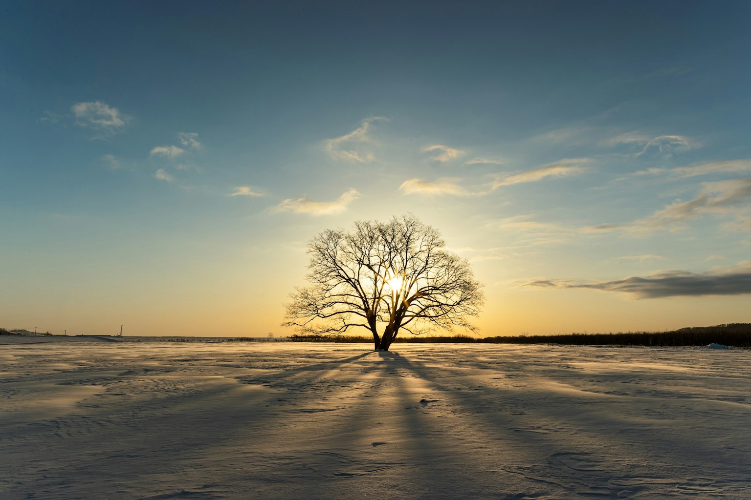 2023-12-visual-symphony-in-round-award-image-10