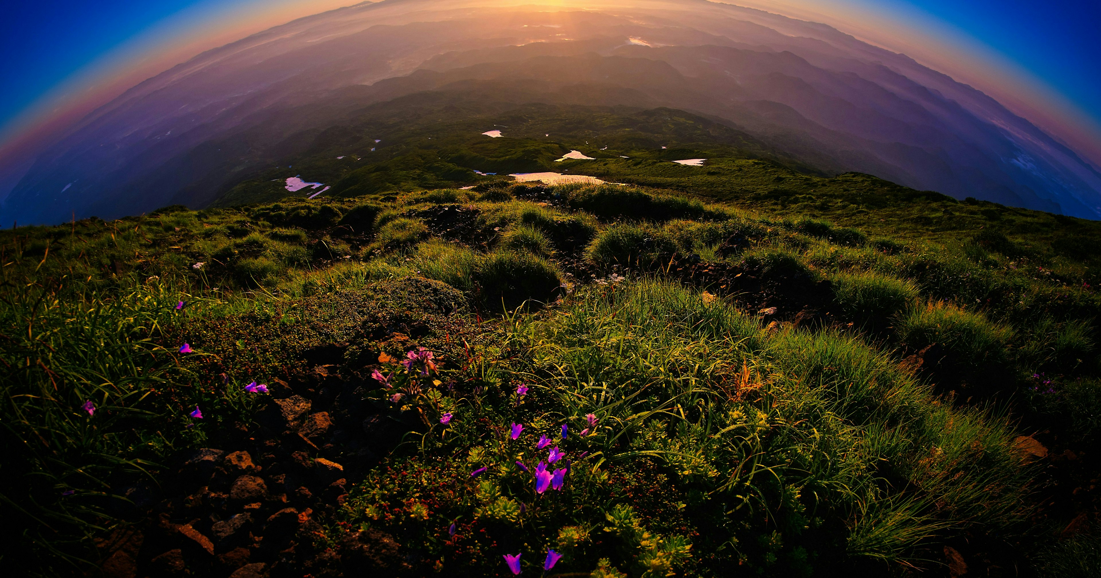 2025-05-from-morning-to-morning-cover-image