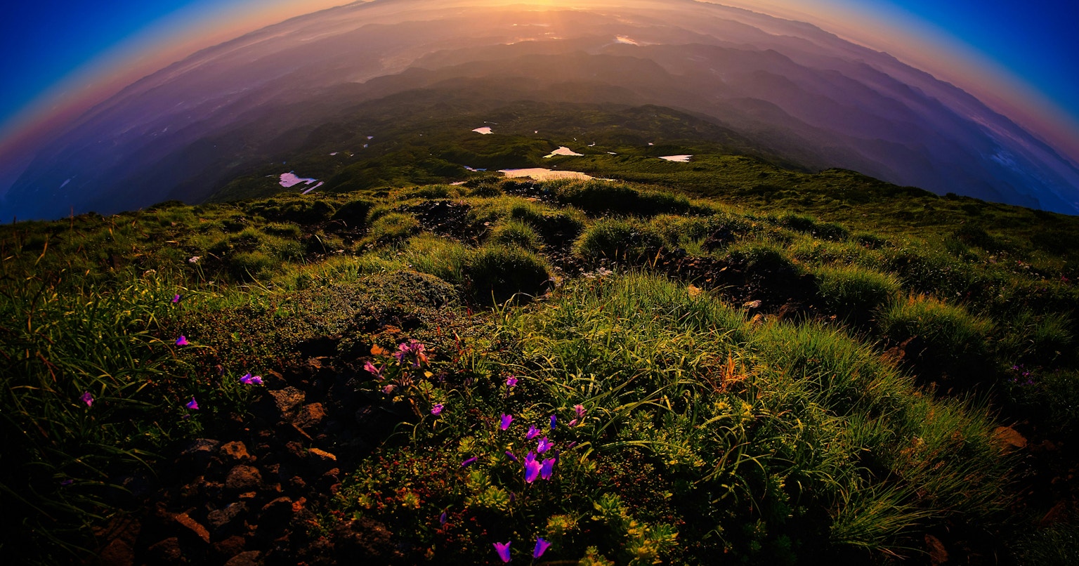 2025-05-from-morning-to-morning-cover-image