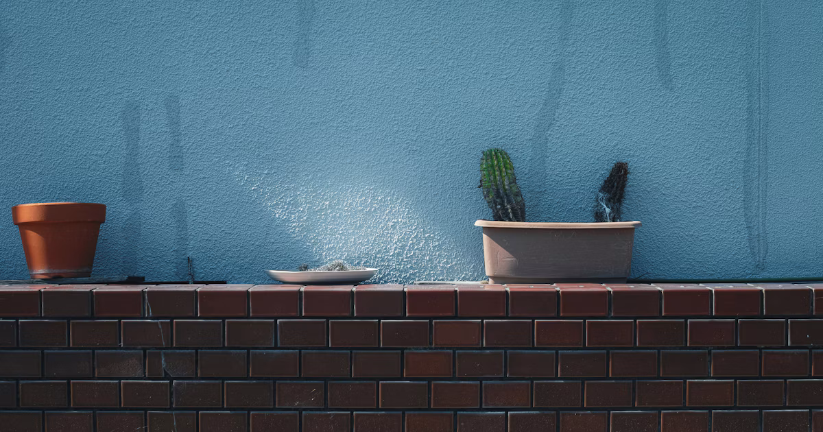 【Open Call】September in Sendai | Zeigen Sie Ihr Foto als Poster | Release #867