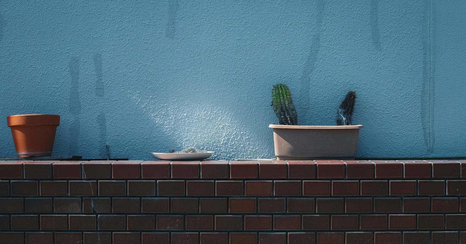 【Open Call】September in Sendai | Zeigen Sie Ihr Foto als Poster | Release #867