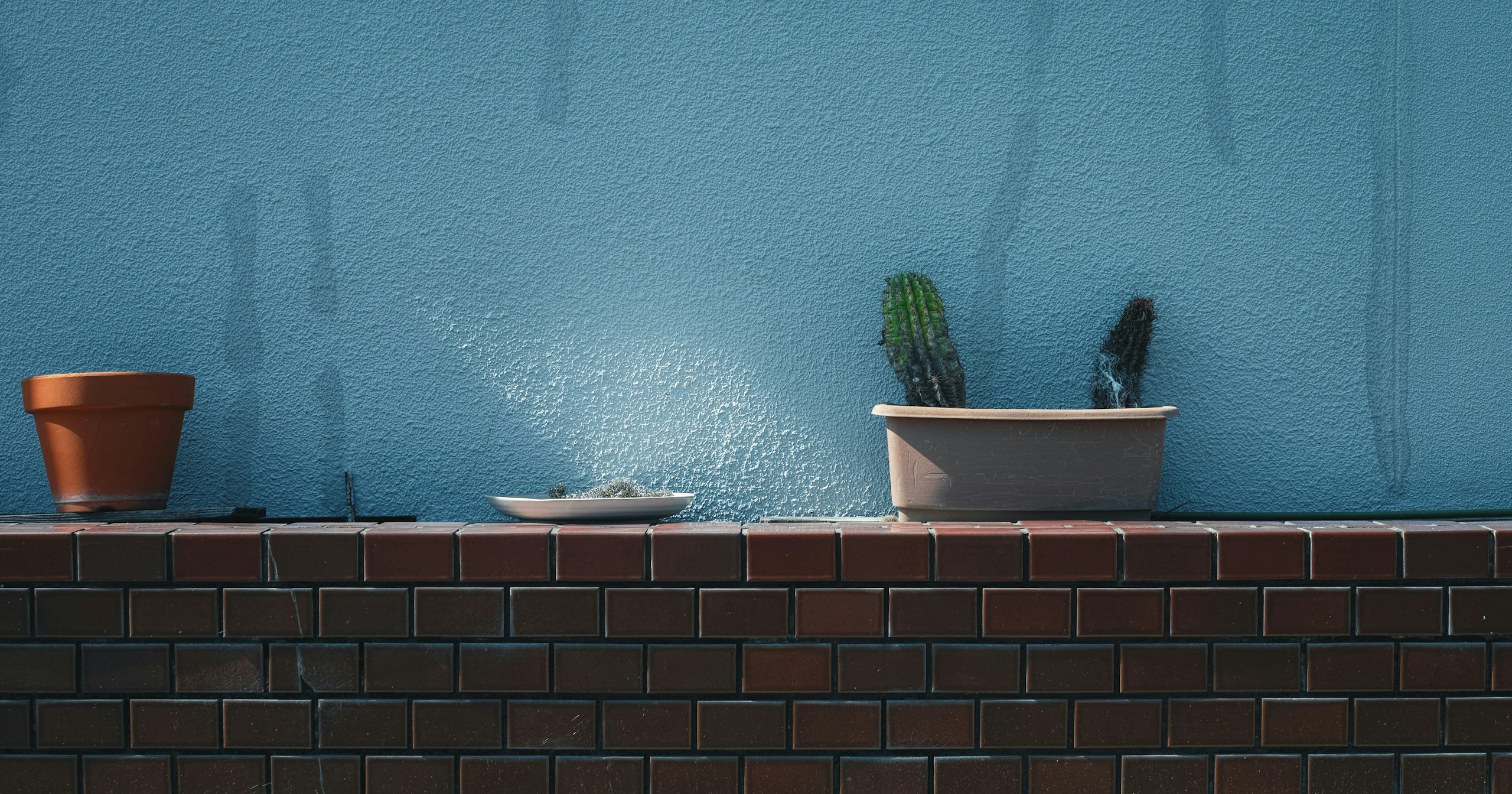 【Open Call】September in Sendai | Zeigen Sie Ihr Foto als Poster | Release #867