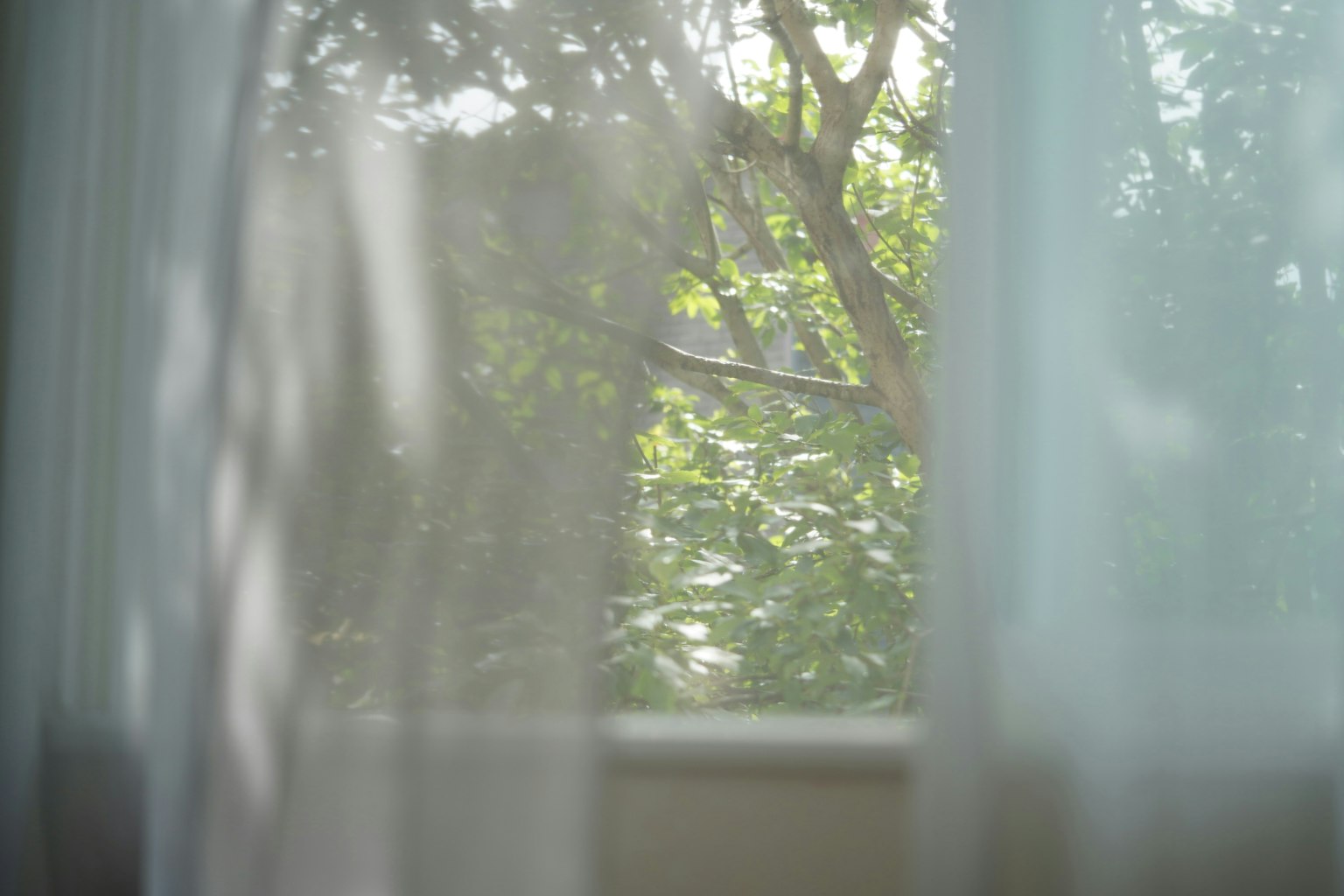 2025-11-listen-closely-image-10