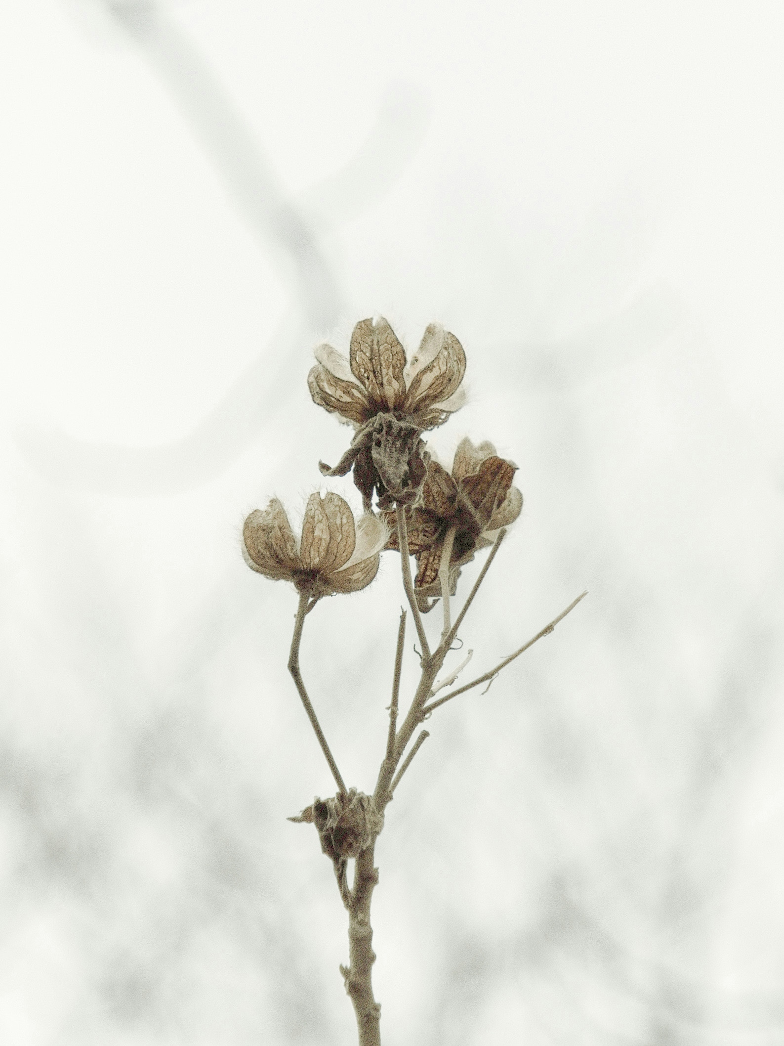 2026-02-february-diary-image-6