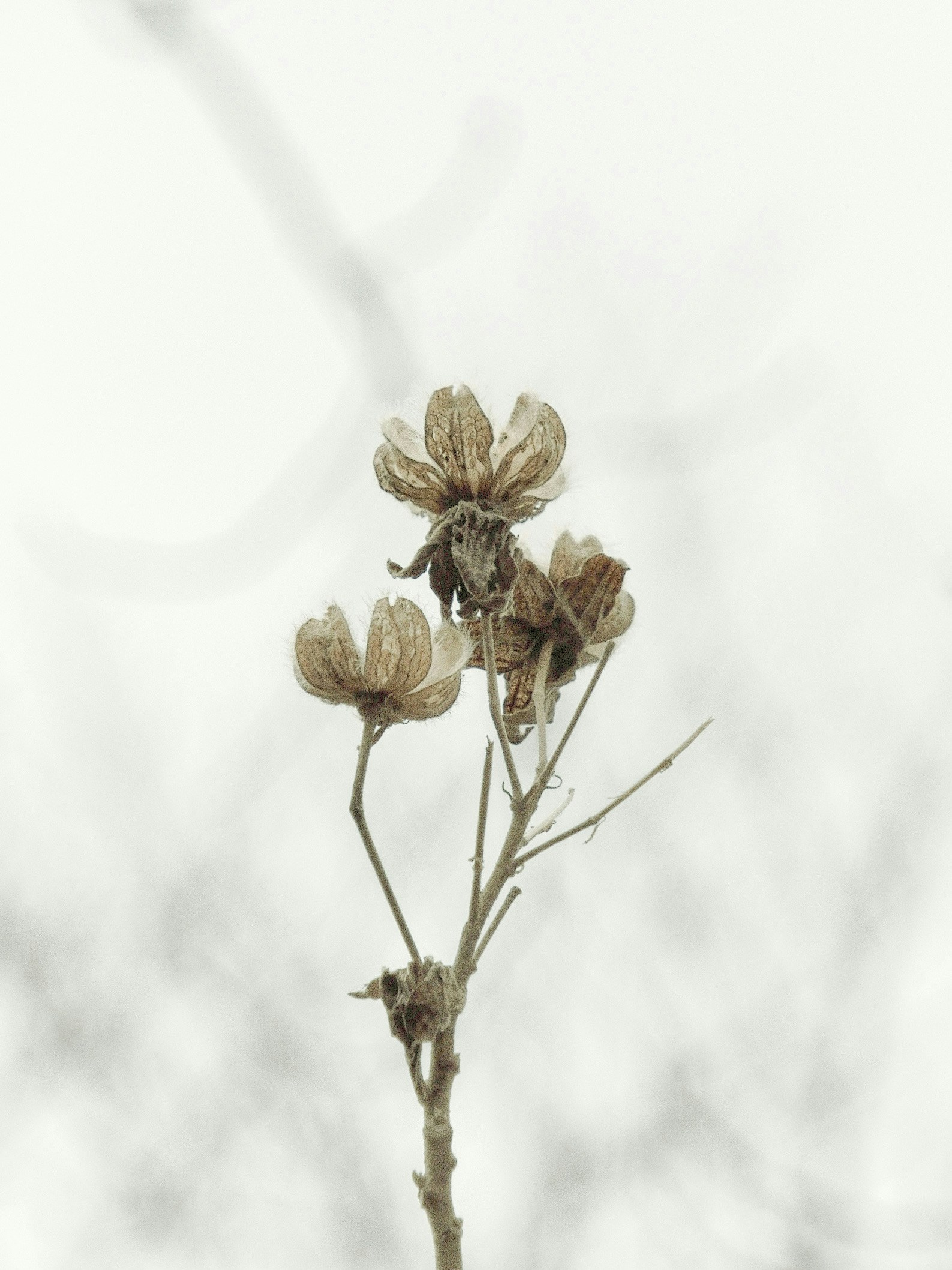 2026-02-february-diary-image-6