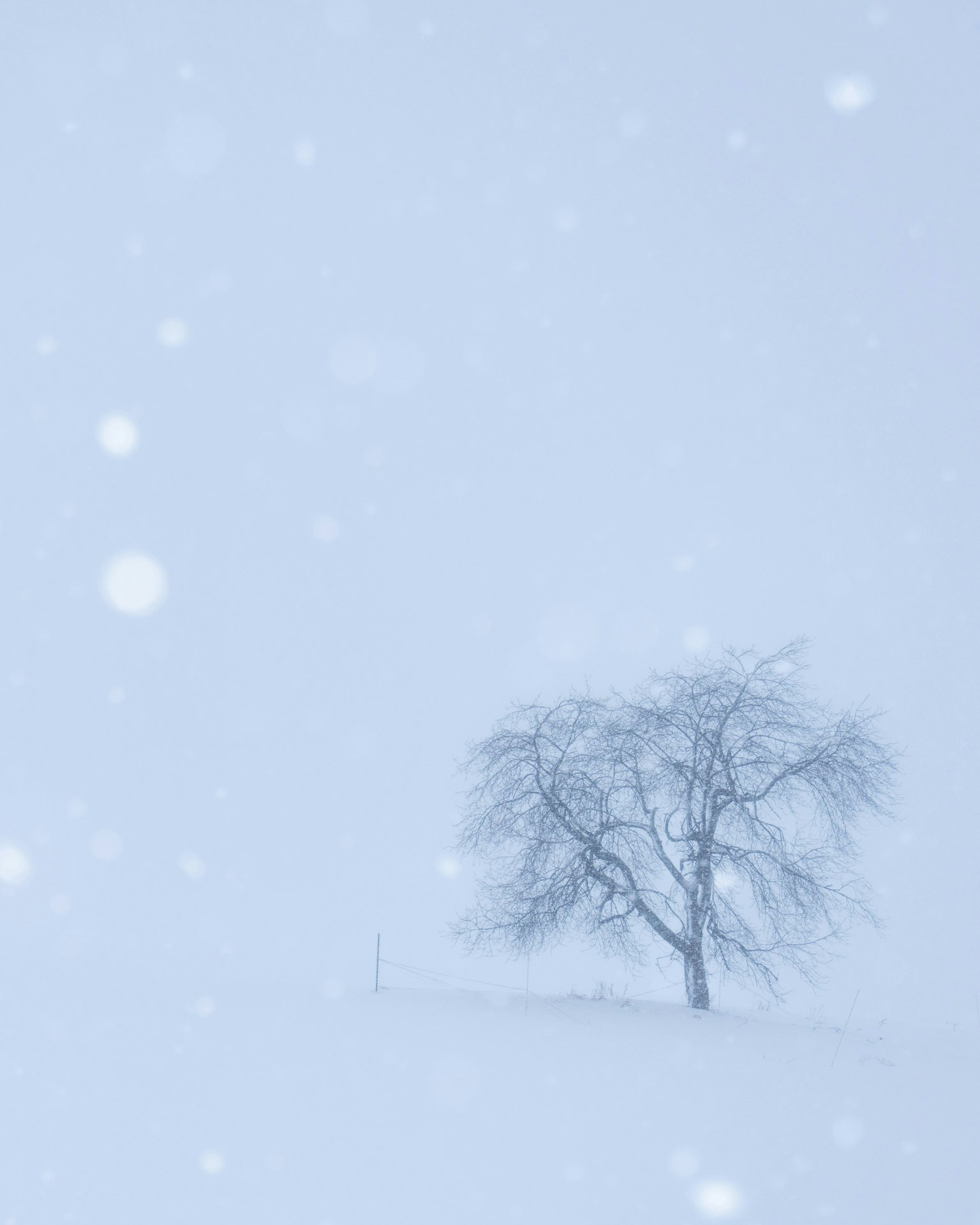 2025-01-white-object-photography-tips-image-4