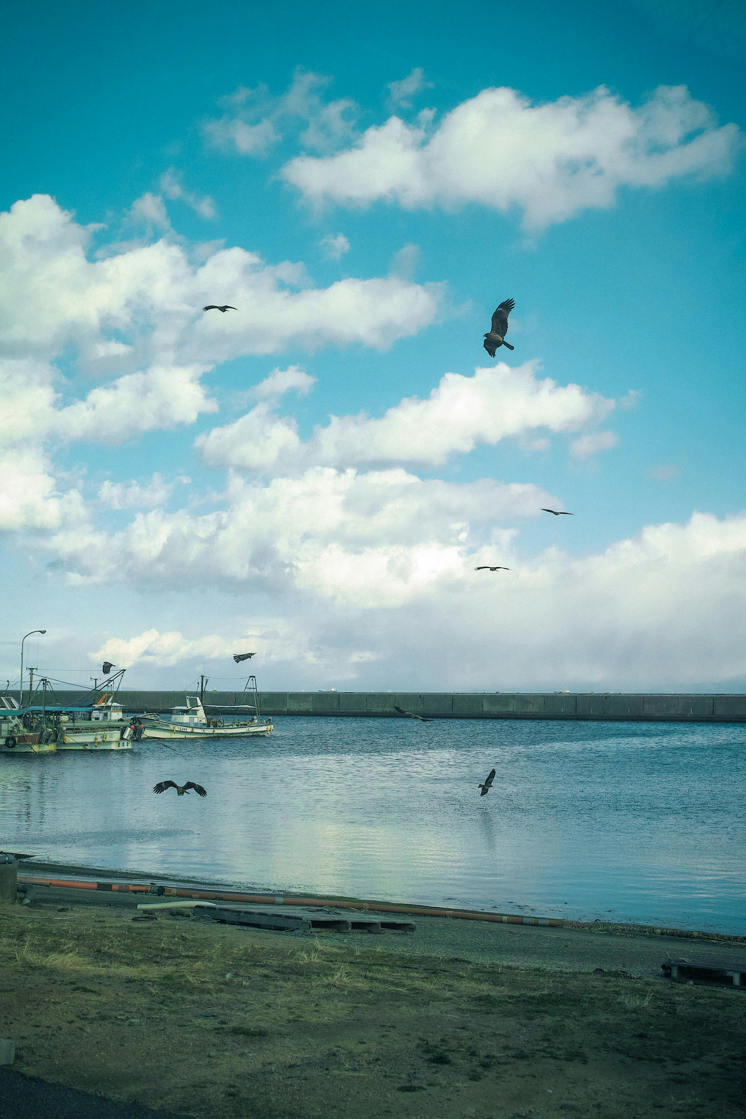 2026-01-learning-what-i-love-from-merrill-image-18
