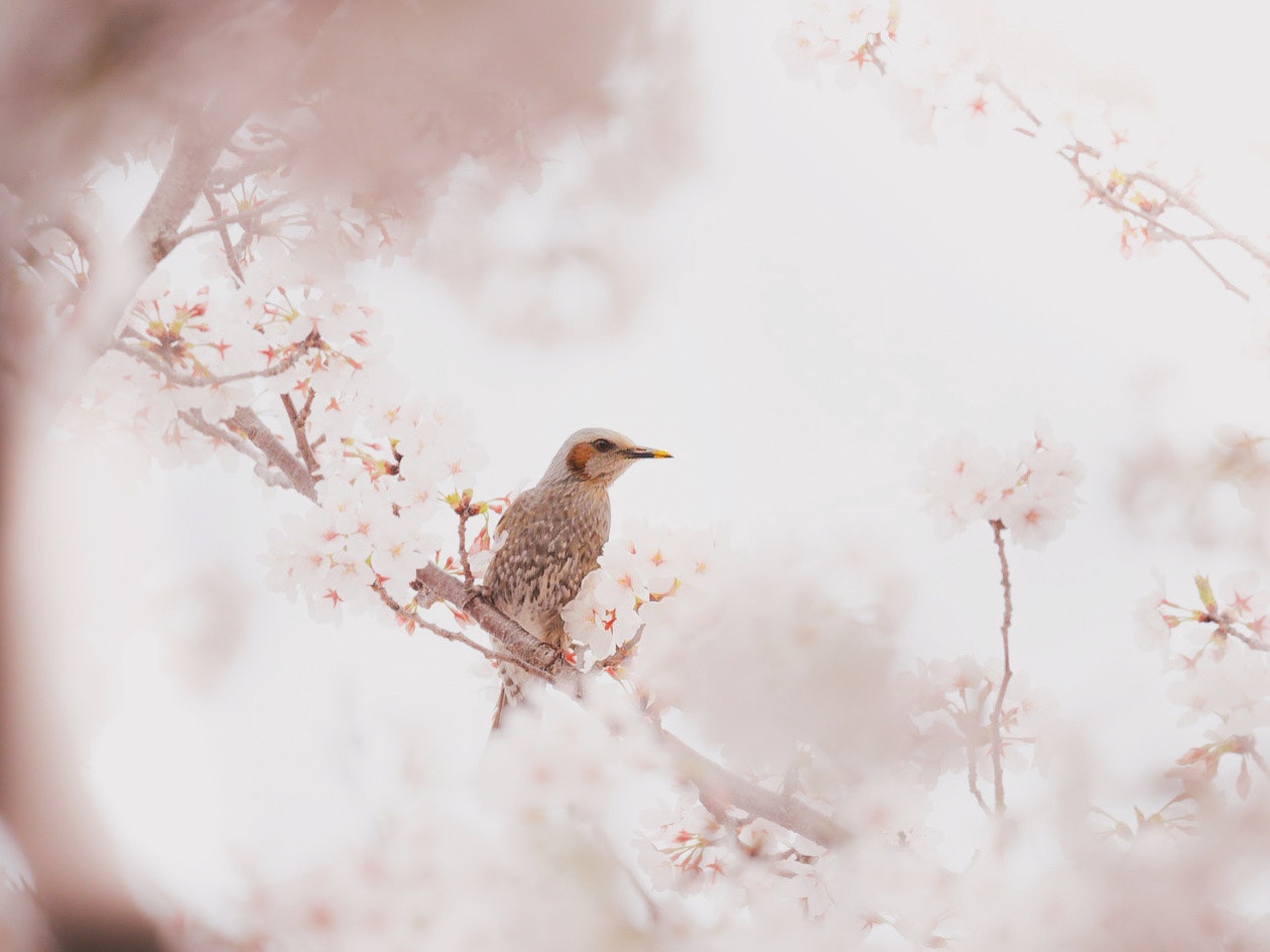 2025-11-discovery-cover-image