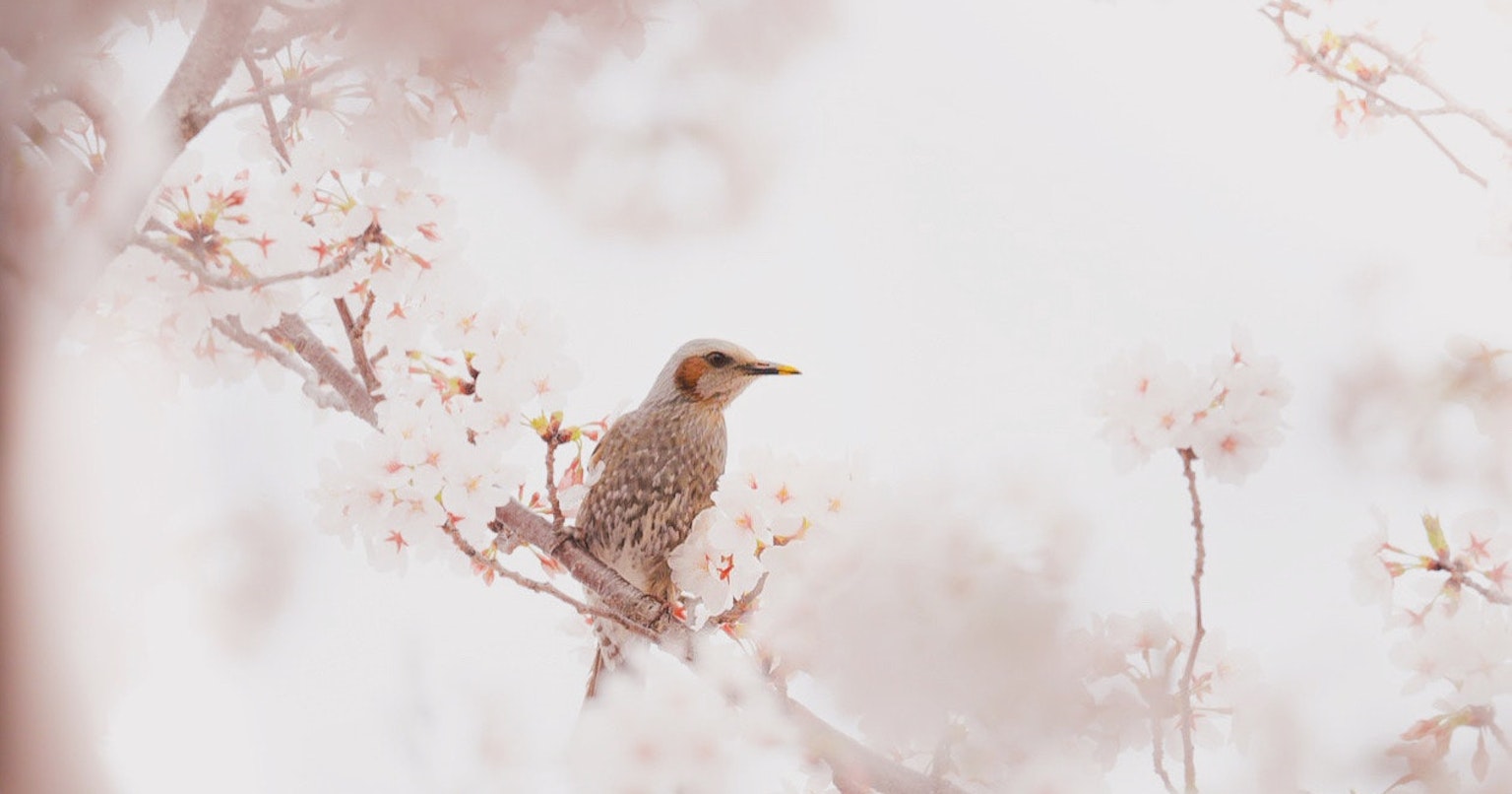 2025-11-discovery-cover-image