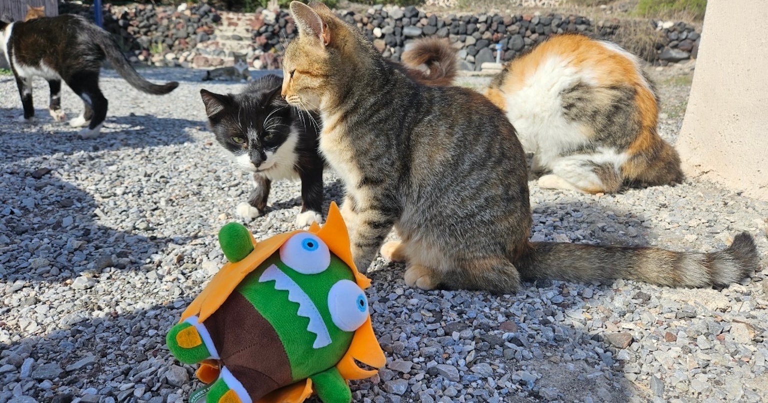 2023-12-street-fighter-6-contest-cover-image