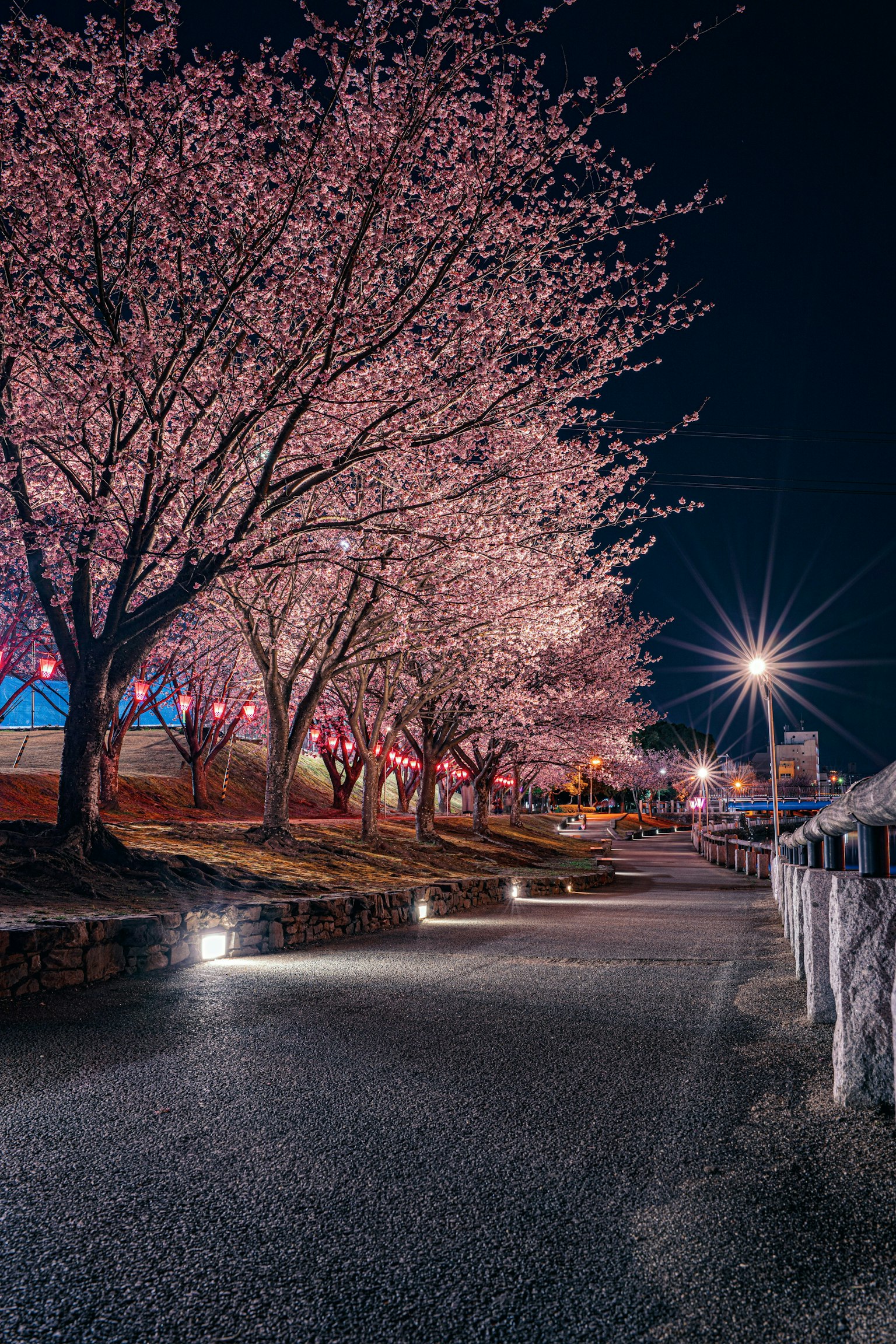 2025-10-park-report-image-9