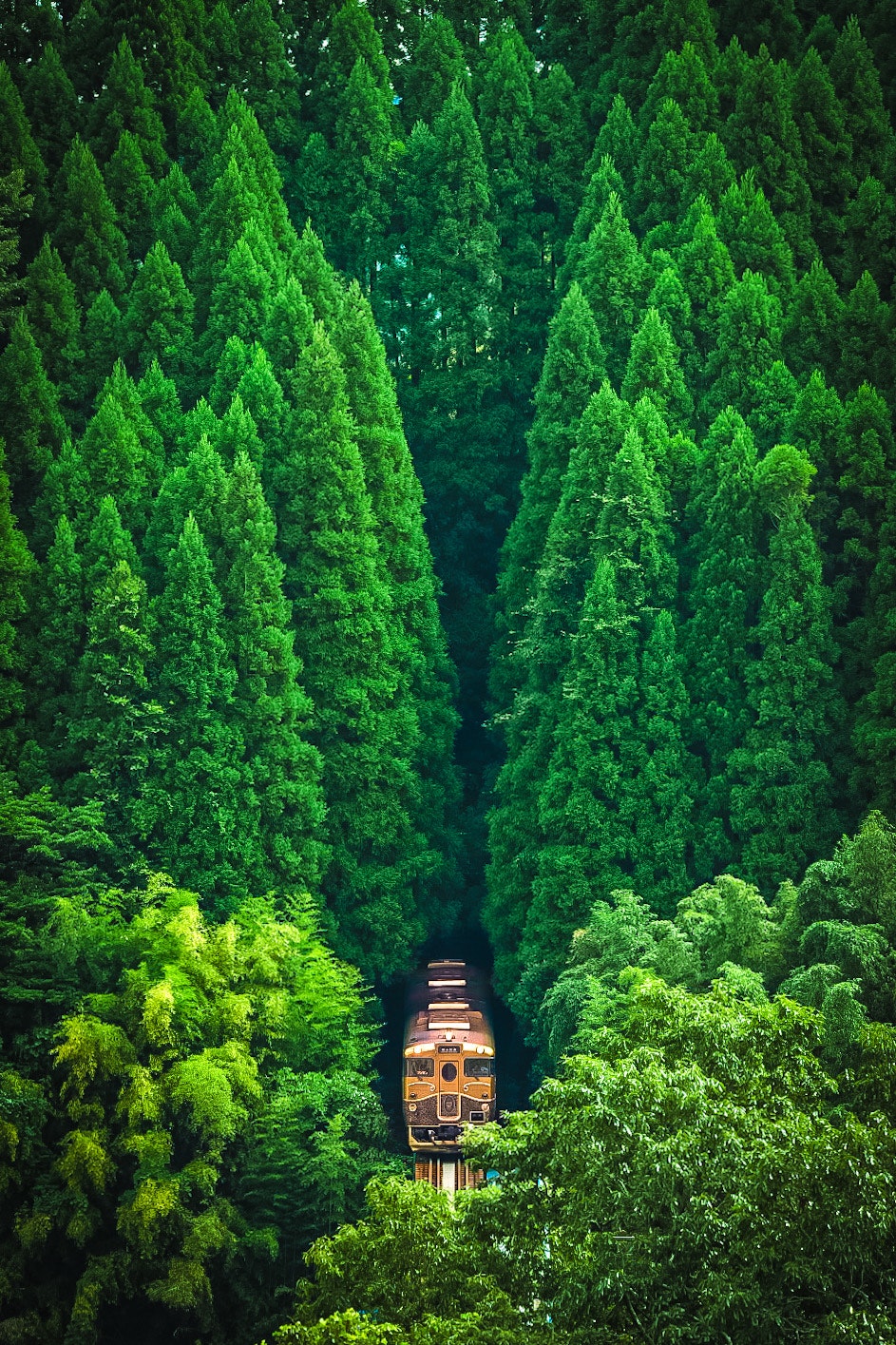 2025-12-chose-best-composition-award-image-15