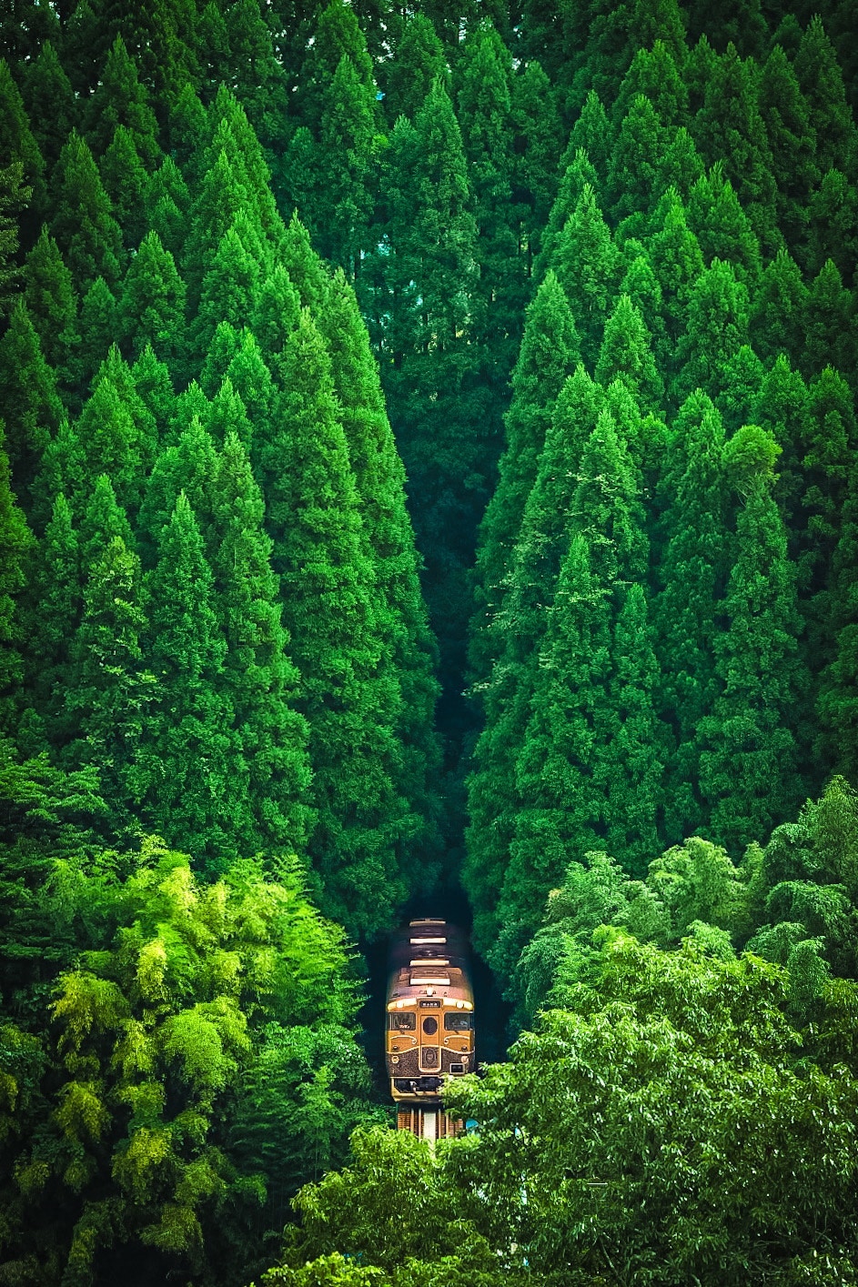 2025-12-chose-best-composition-award-image-15