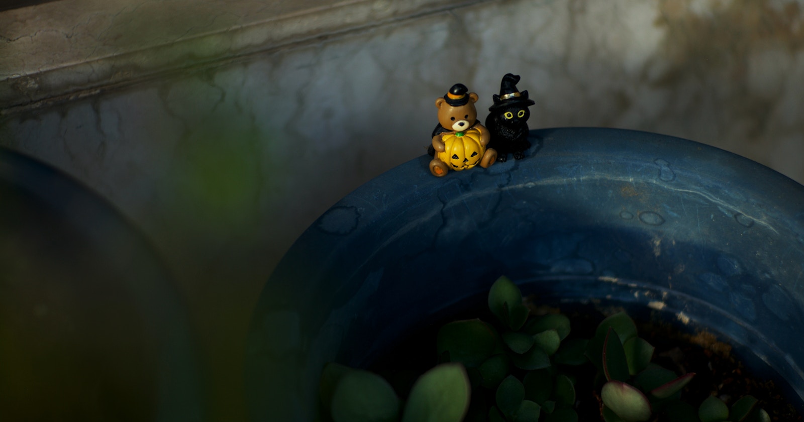 Idées de photographie pour Halloween créant une ambiance mystérieuse | Focus #335