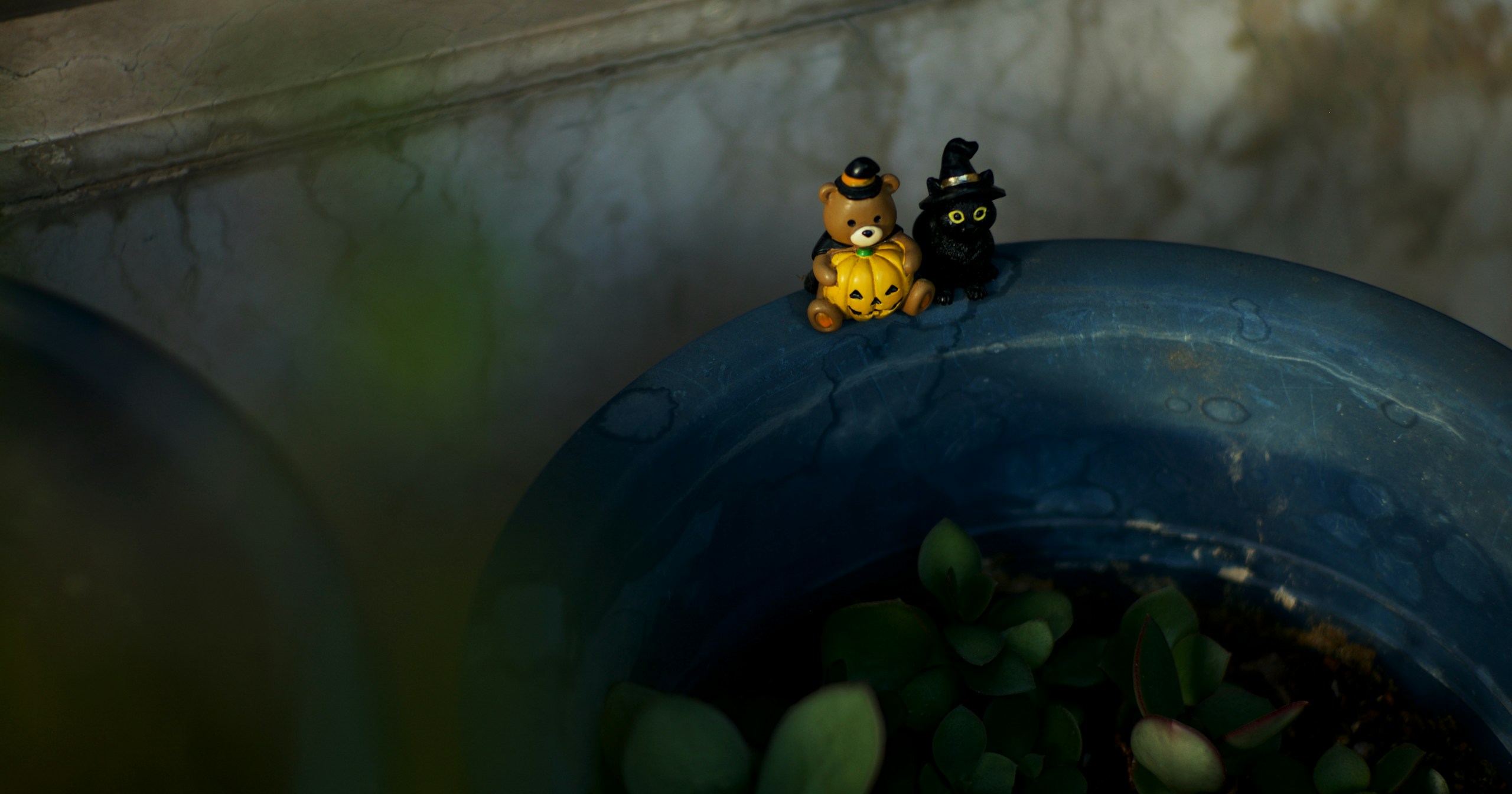 Idées de photographie pour Halloween créant une ambiance mystérieuse | Focus #335