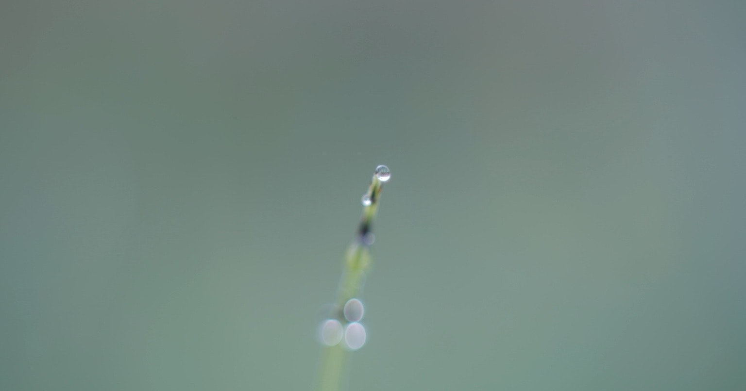 2025-06-perovskite-sensor-photography-cover-image