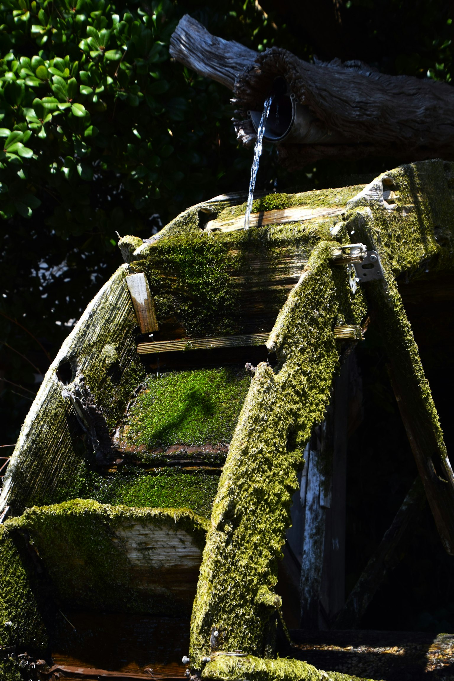 2024-05-fall-into-decay-image-24