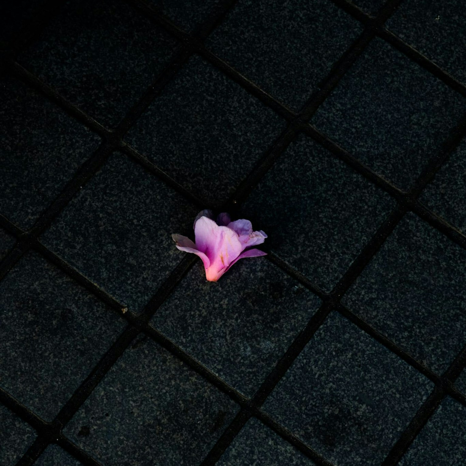 2023-06-mysterious-streetscape-cover-image