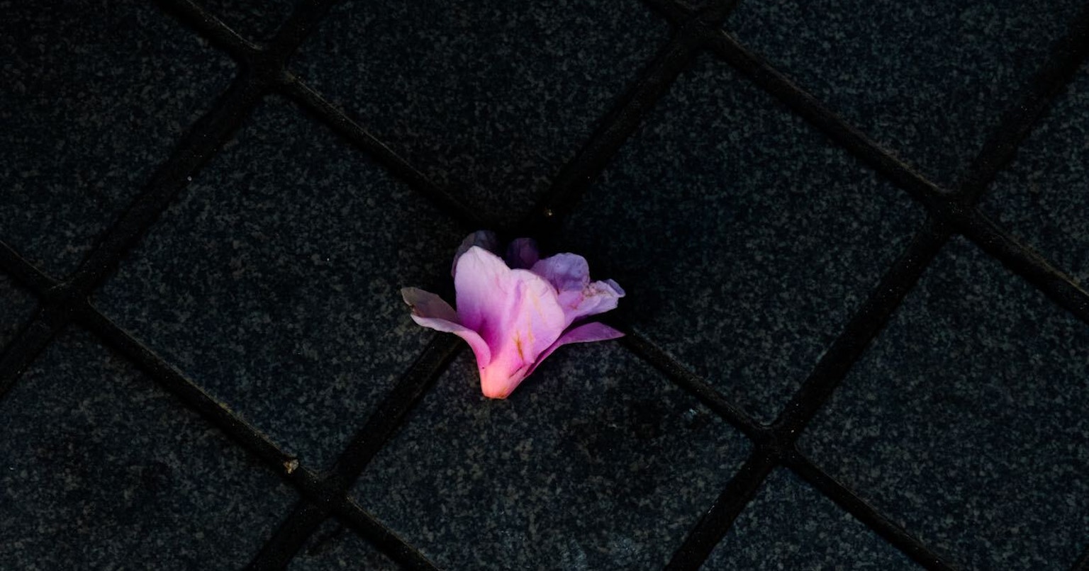 2023-06-mysterious-streetscape-cover-image