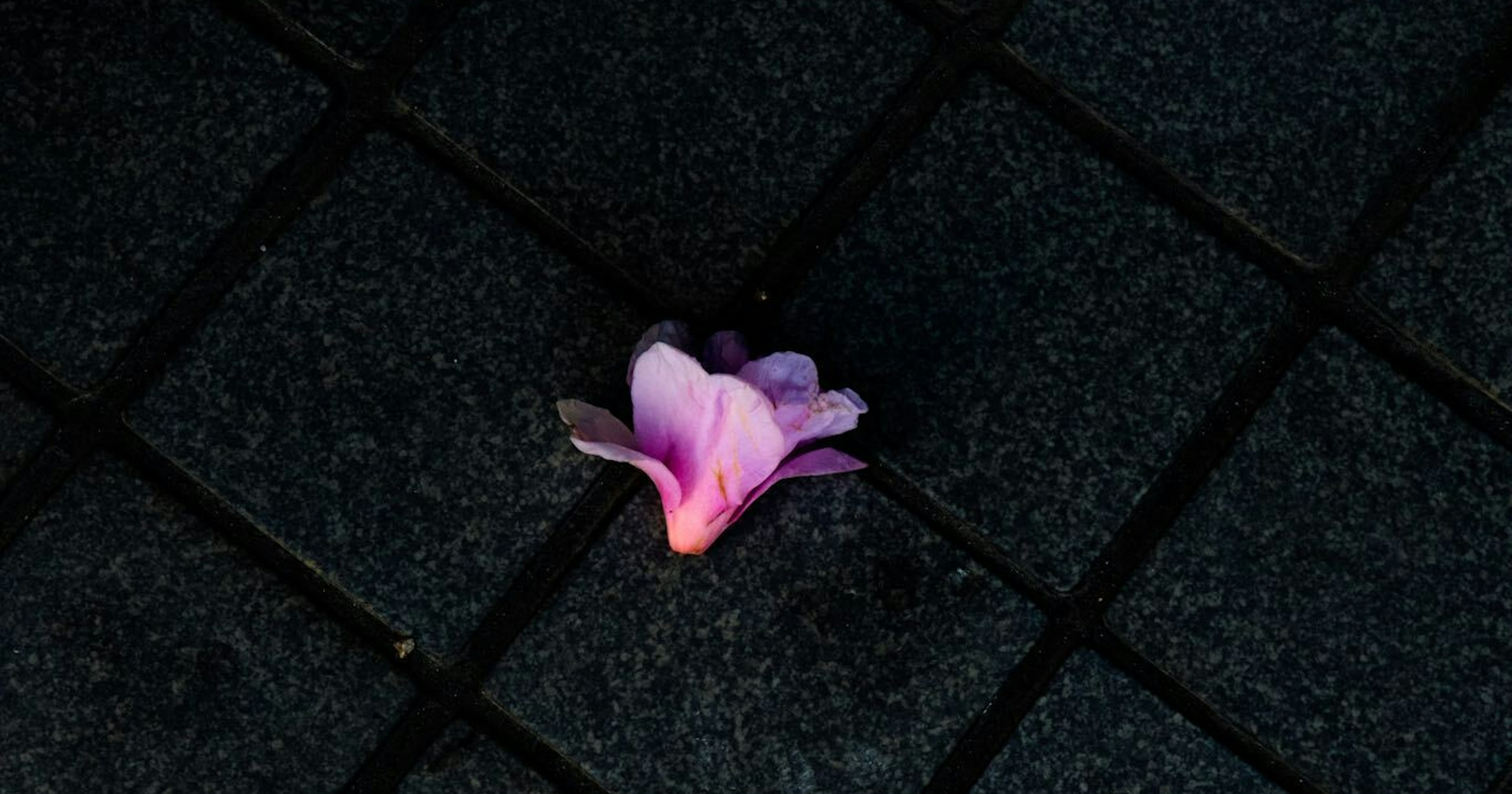 cizucu Presents 'Mysterious Streetscape' | Challenge #11