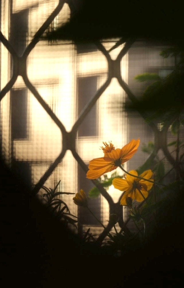 2026-03-frame-report-image-5