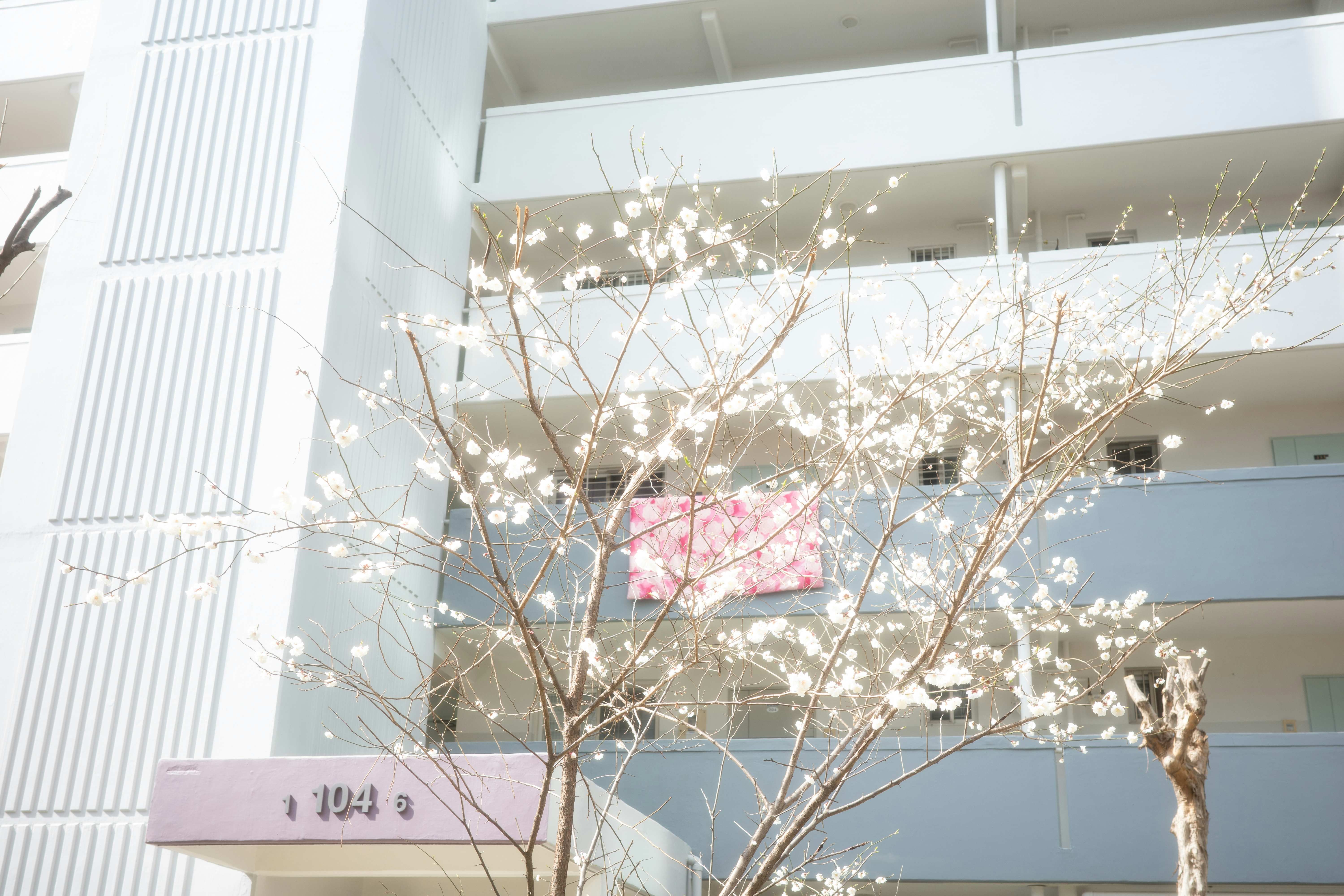 Photo by Choi Hyeji