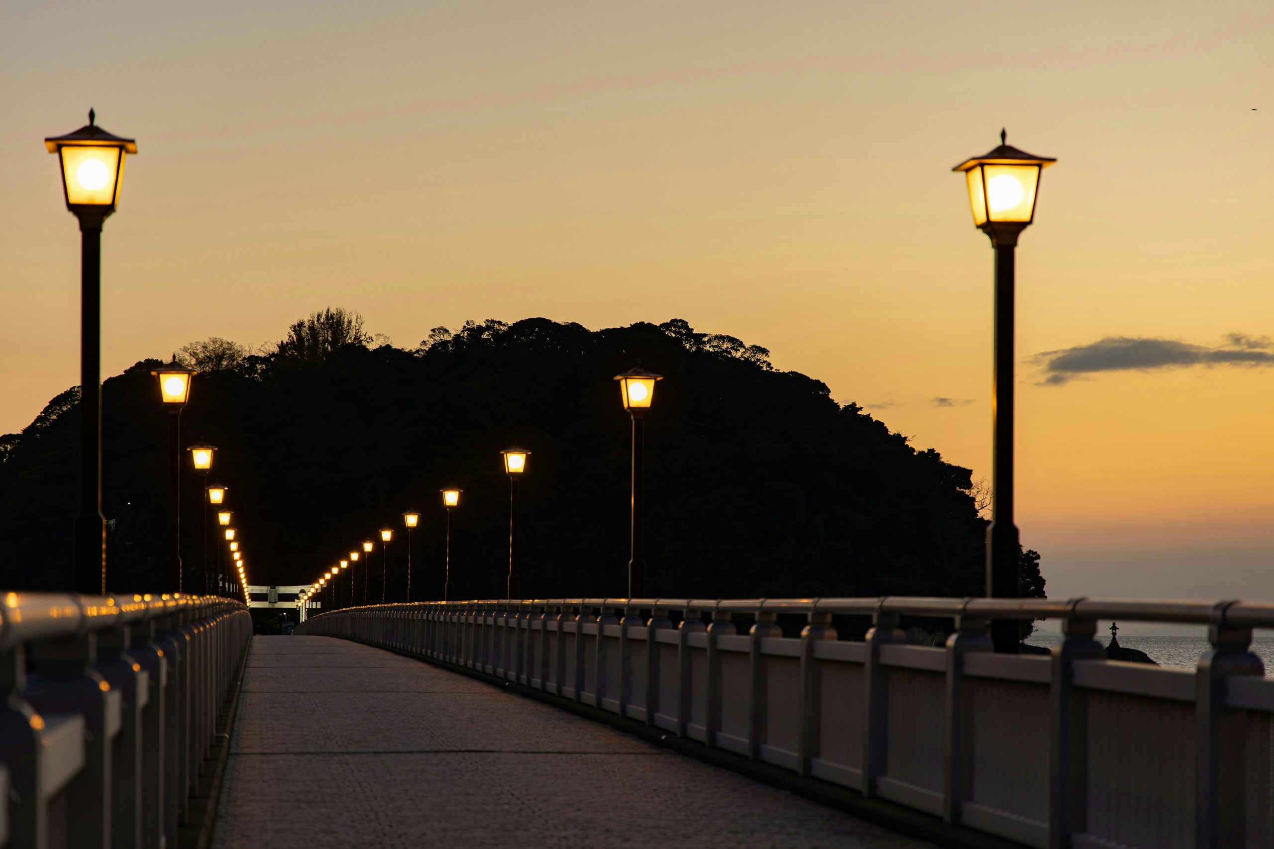 2026-02-journey-with-canon-eos-r-image-7