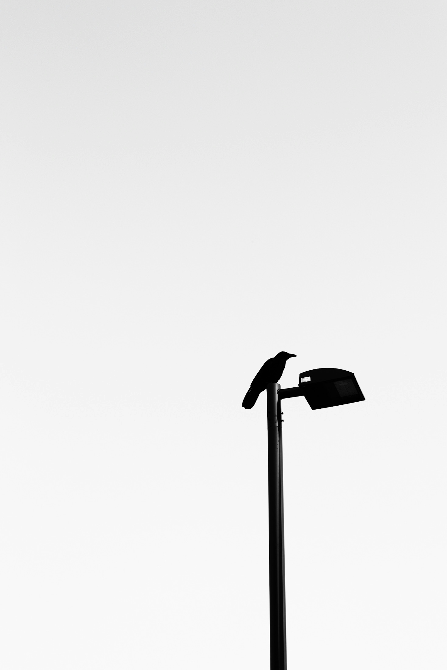 2026-02-rule-of-thirds-award-image-10