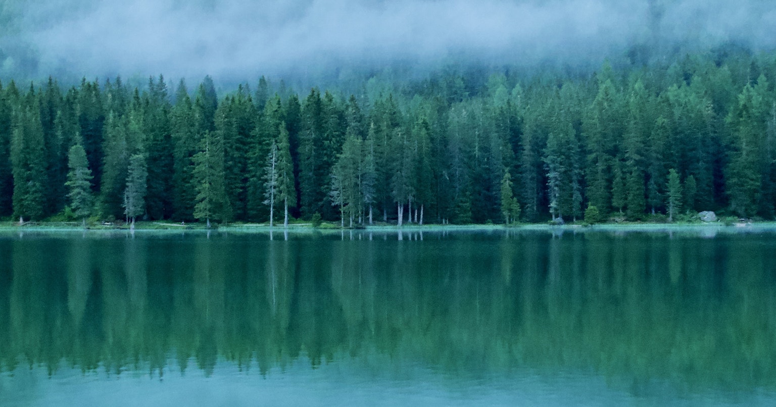 2024-04-eco-photography-cover-image