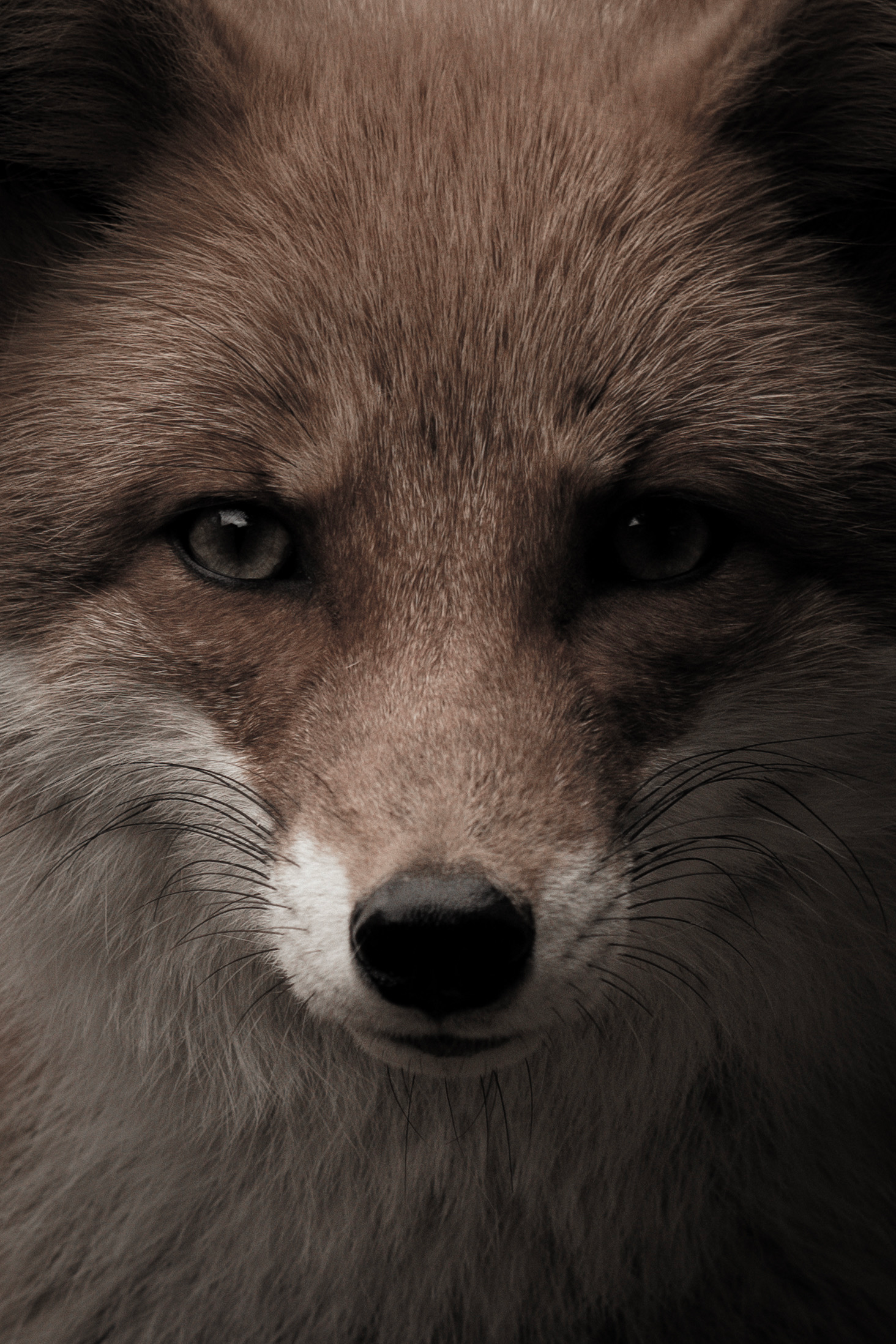 Image by junya