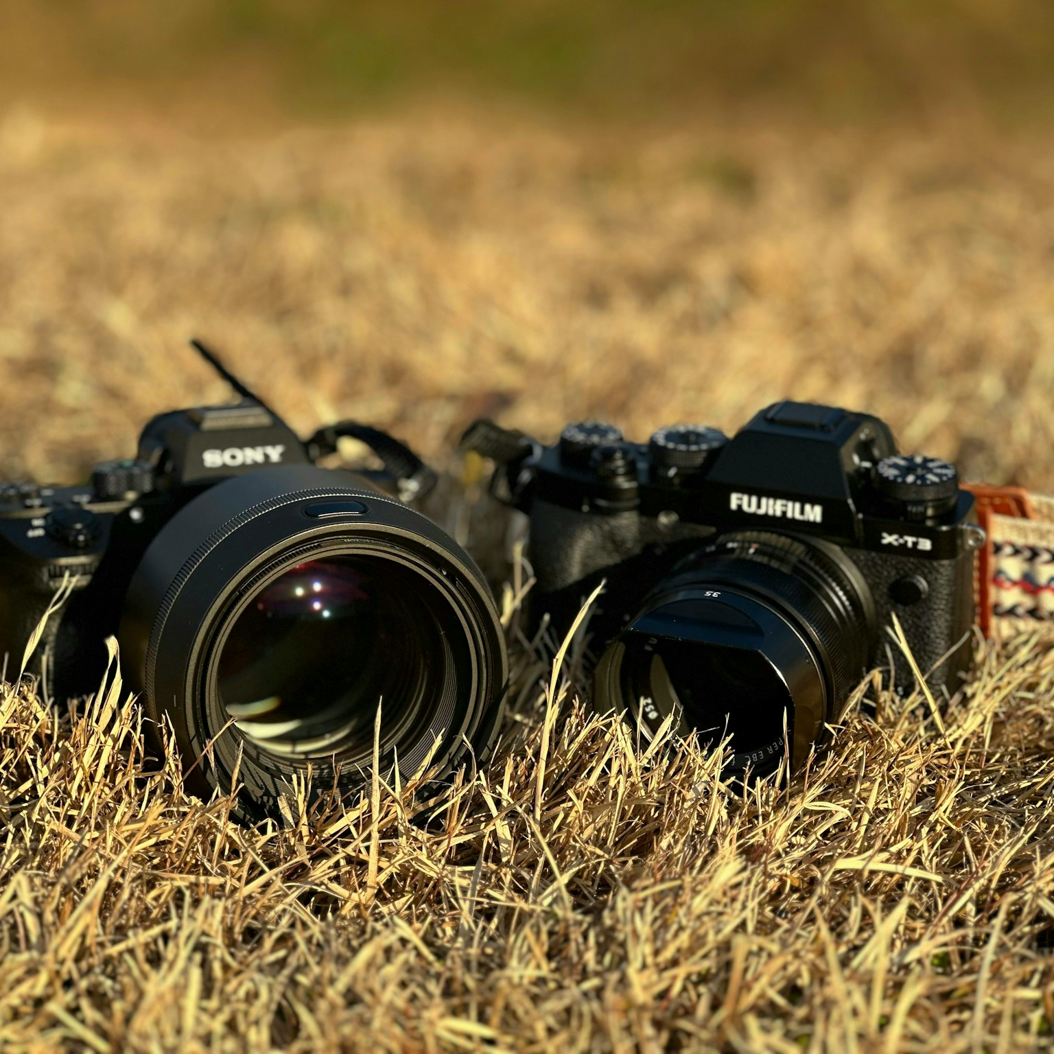 2024-09-buying-used-cameras-guide-cover-image