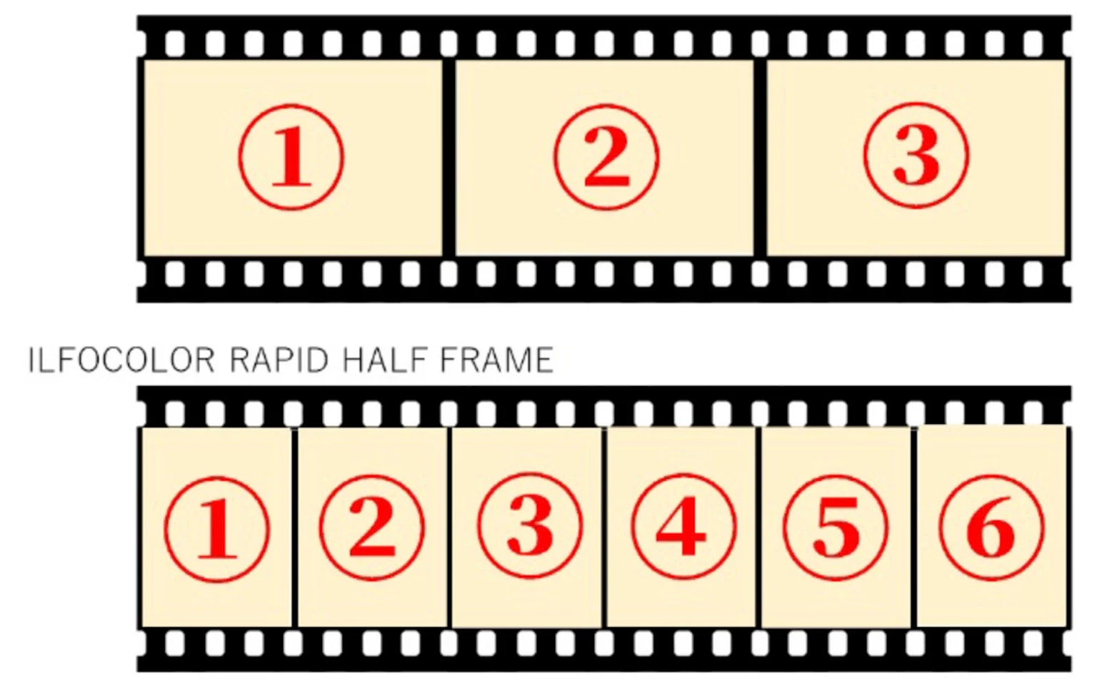 2023-08-ilfocolor-rapid-half-frame-image-4