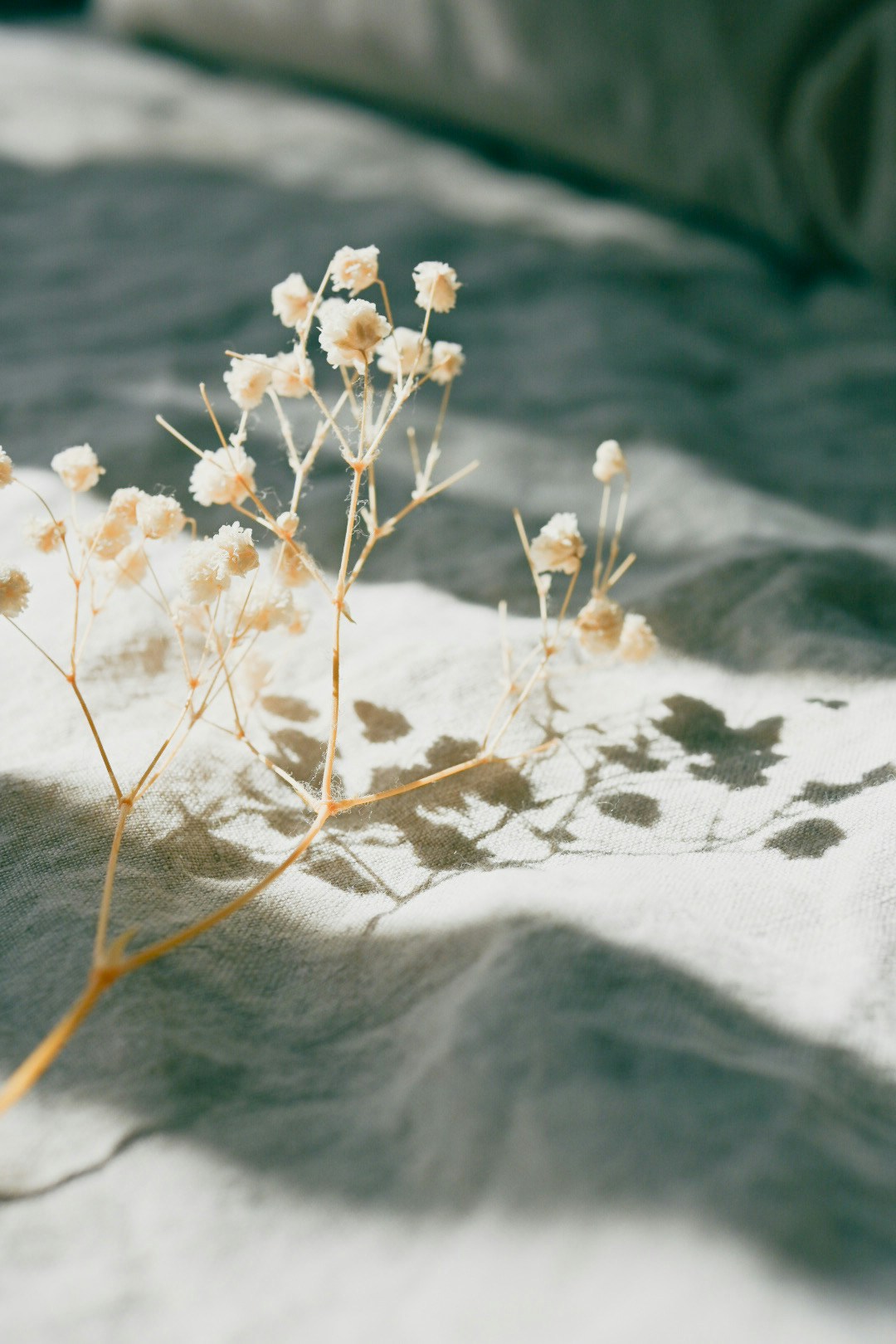 Image by えみ https://www.cizucu.com/photos/ZfhuwSKTK6tl0ht6xJGy