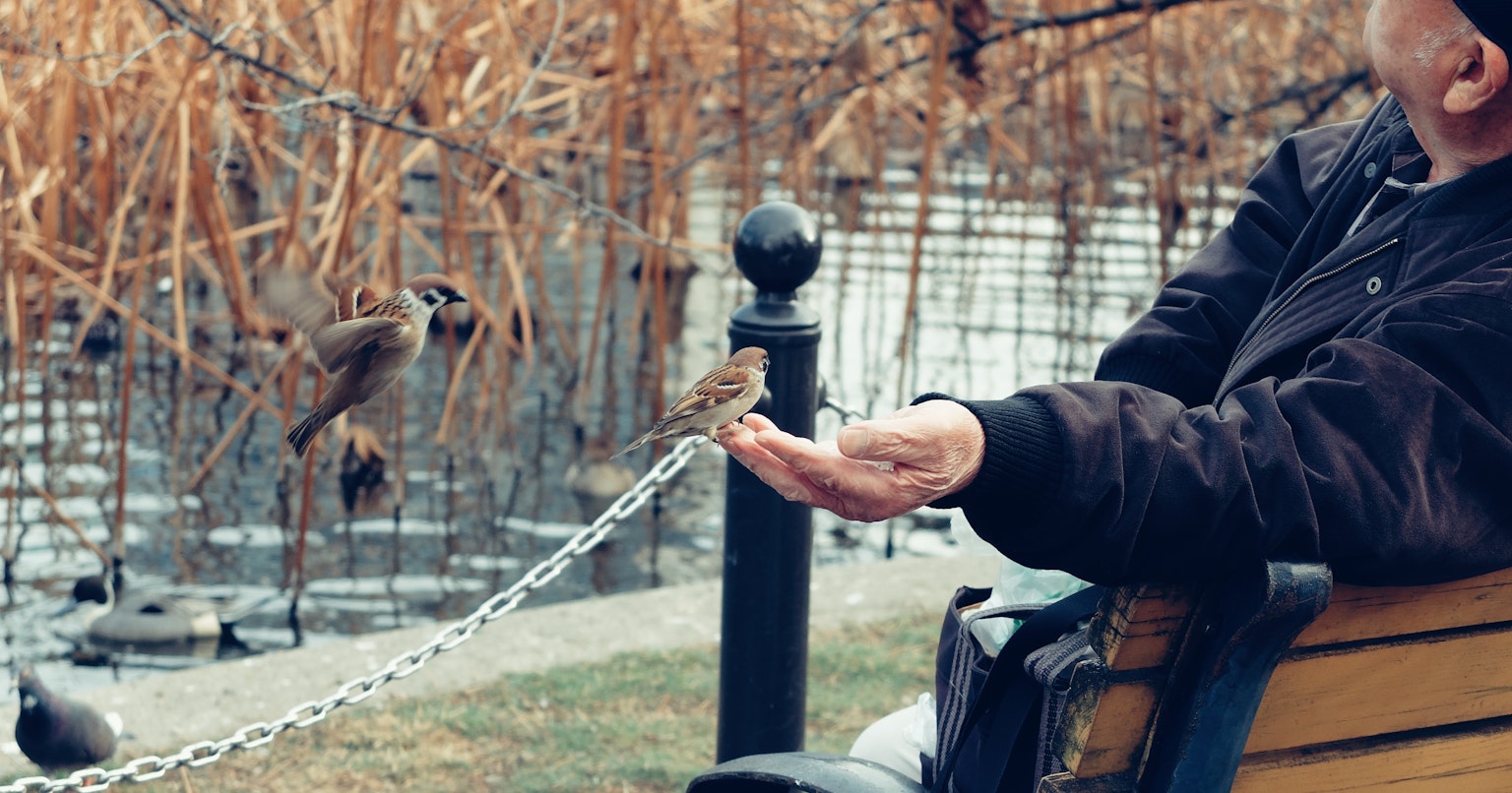 2024-06-nikon-lens-wear-cover-image