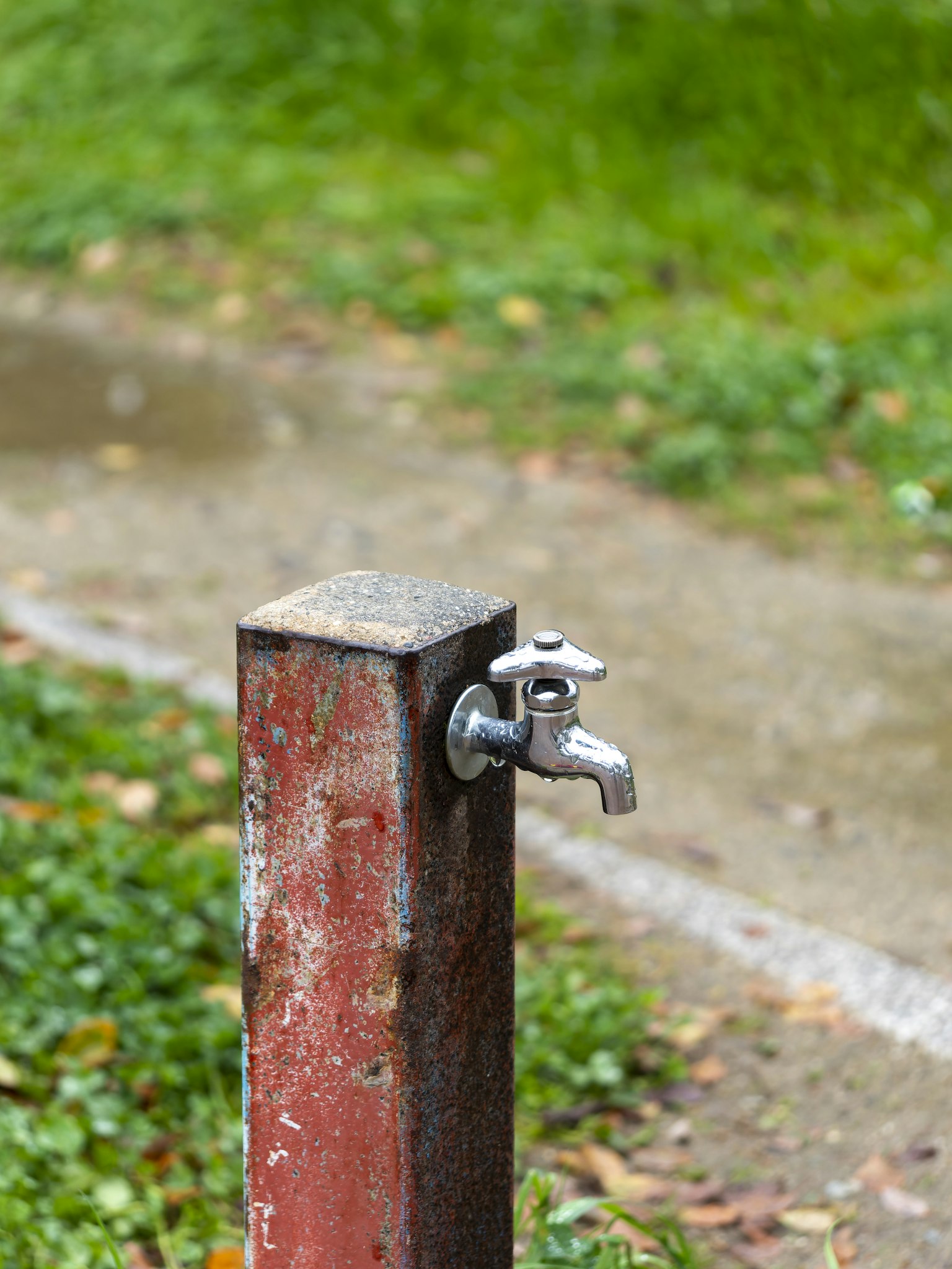 2024-06-raindrop-image-9