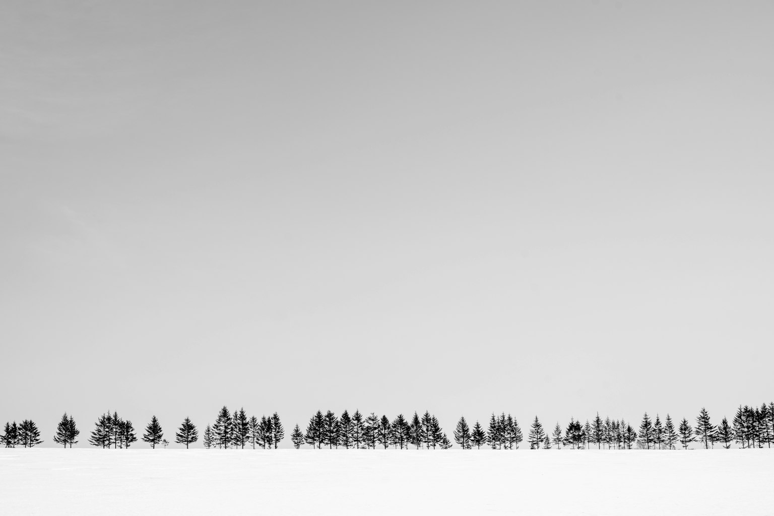 2024-01-frozen-sky-image-10