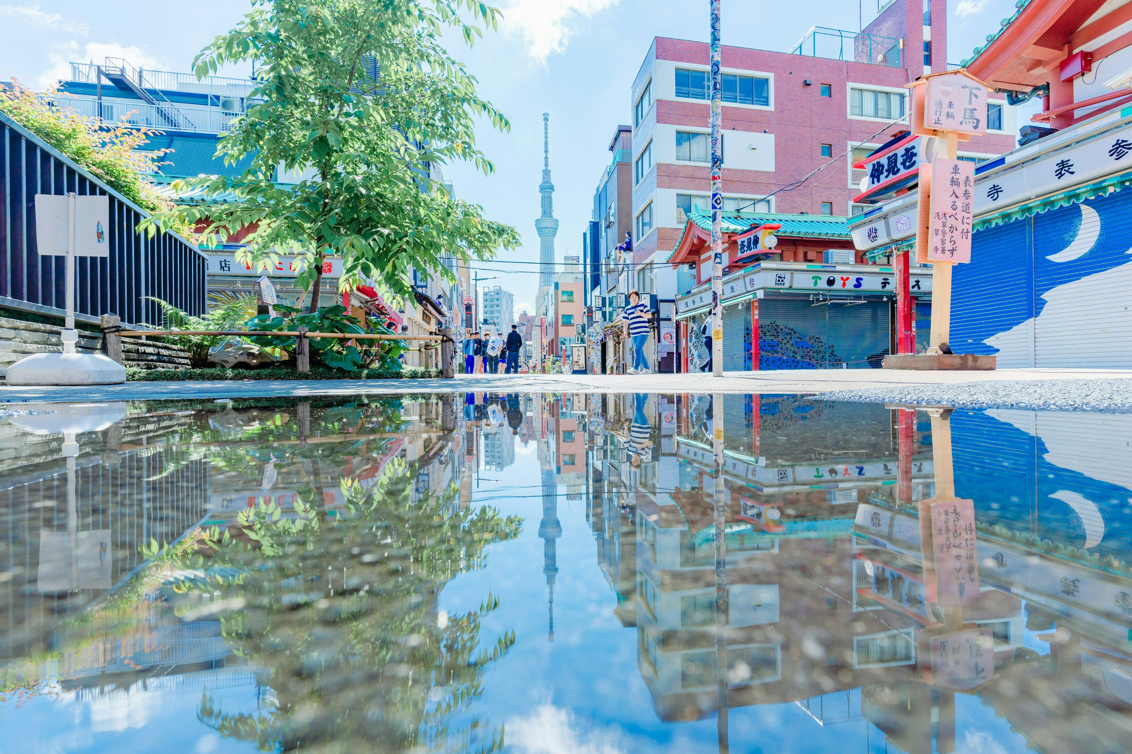 2025-05-mirror-image-7