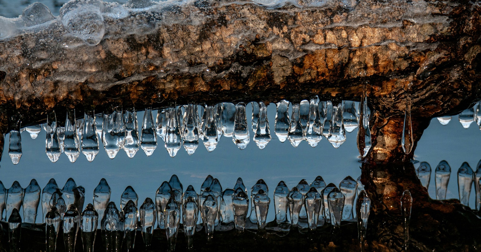 2025-04-pick-up-photos-no-79-83-cover-image