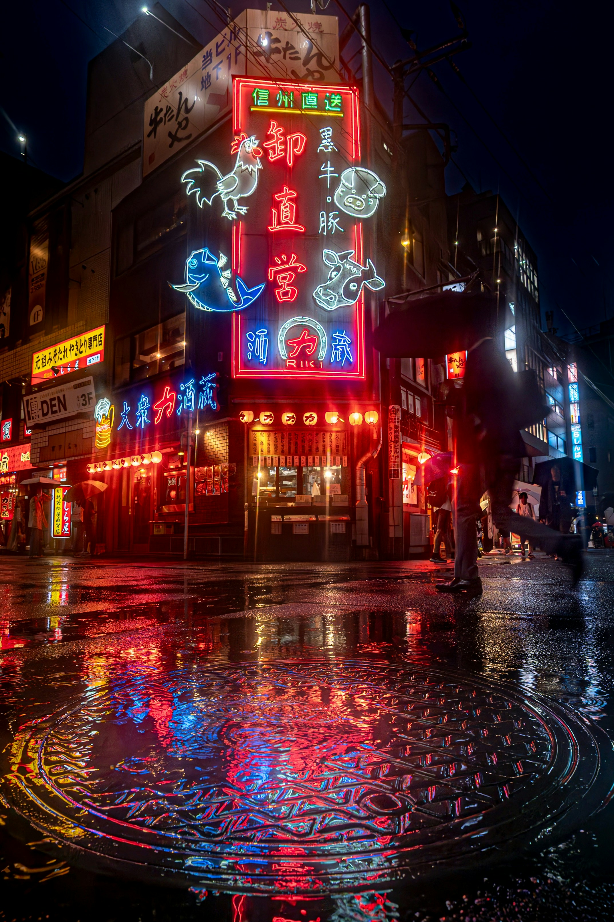 2026-08-cinematic-night-light-image-4