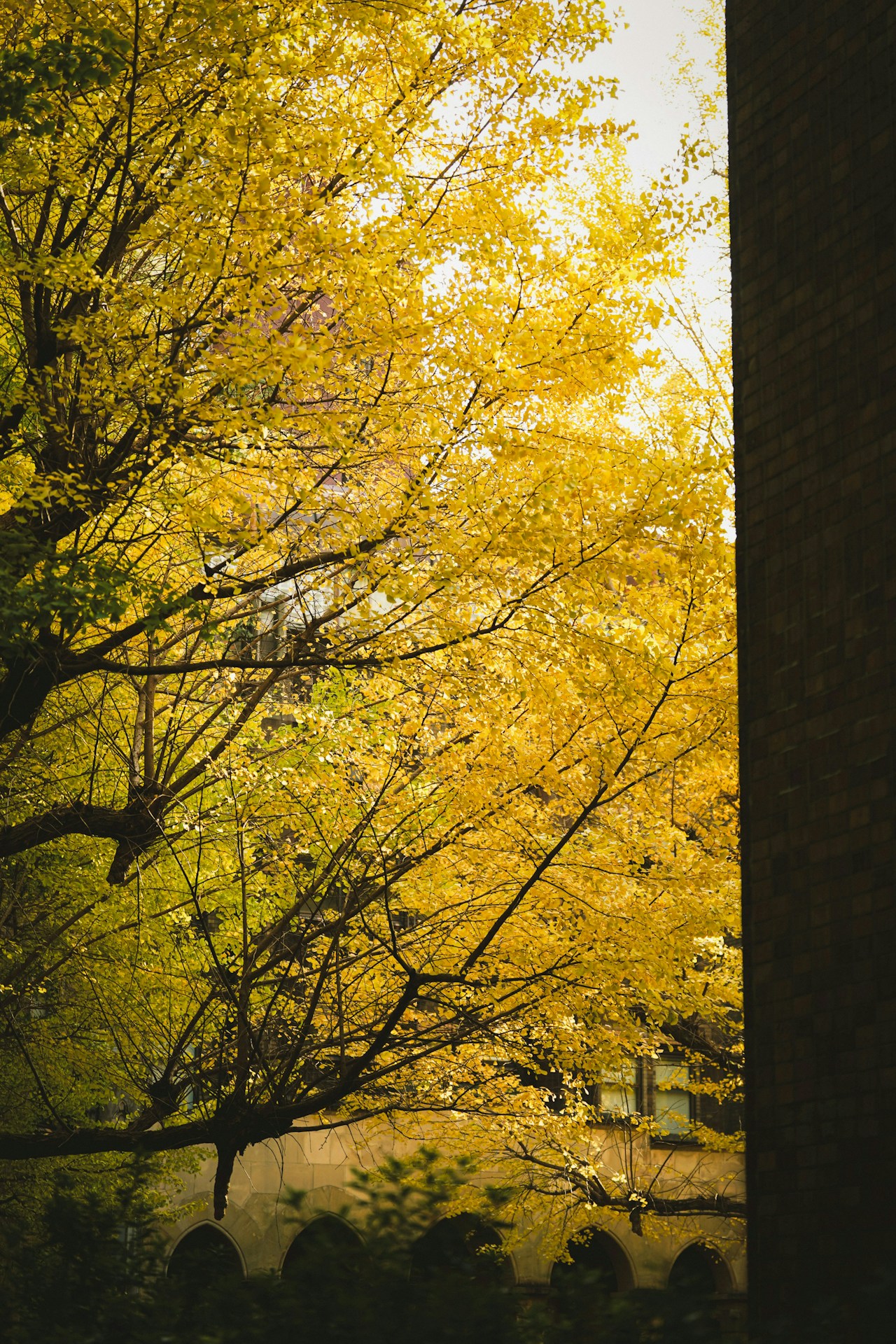 Photo by Wen
