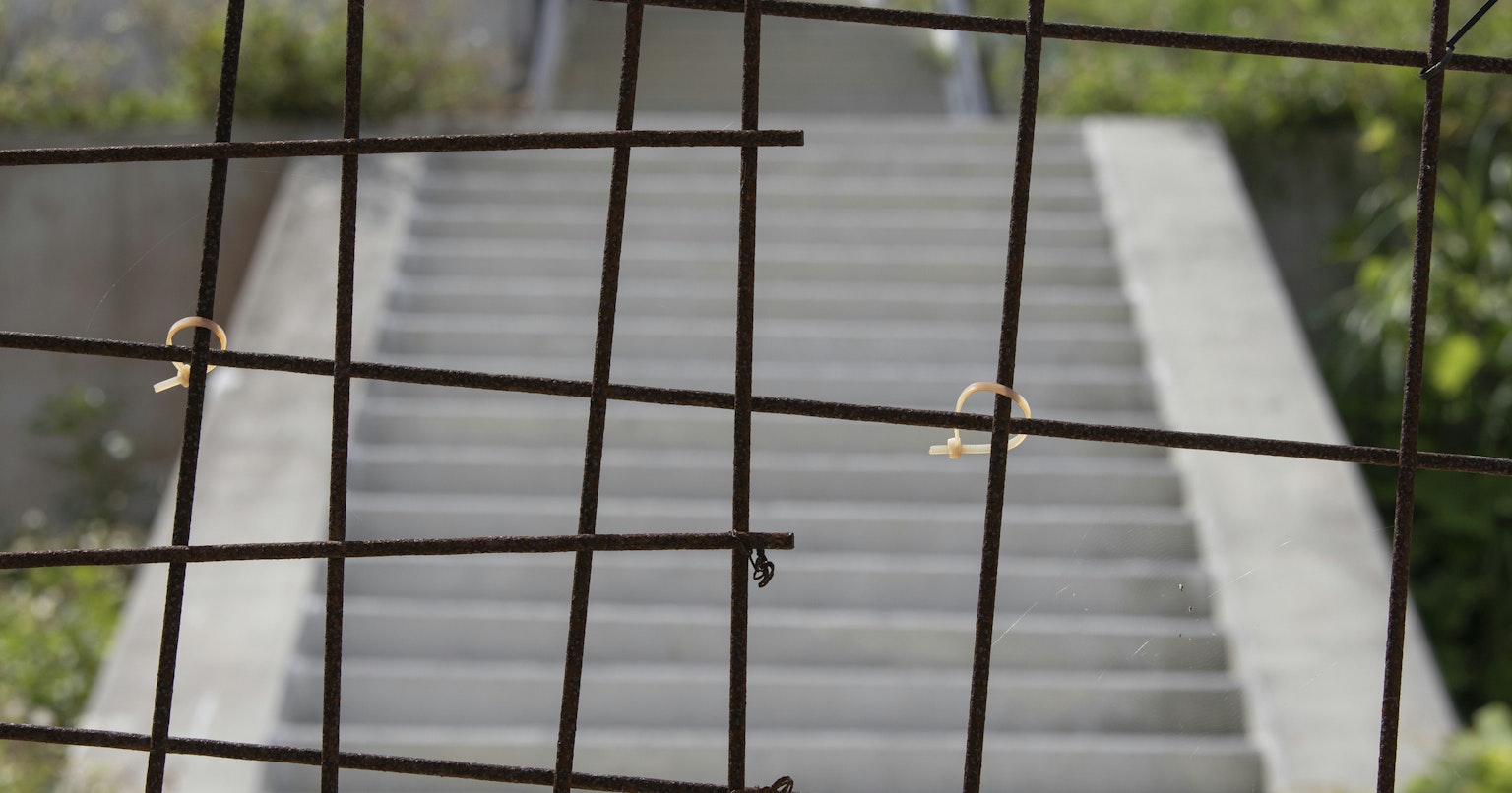 2024-12-tiktok-ban-impact-creators-cover-image