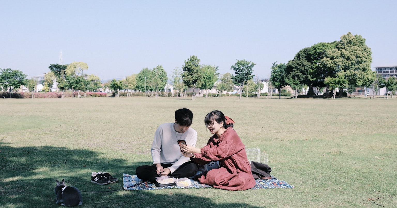2024-08-peace-tender-cover-image