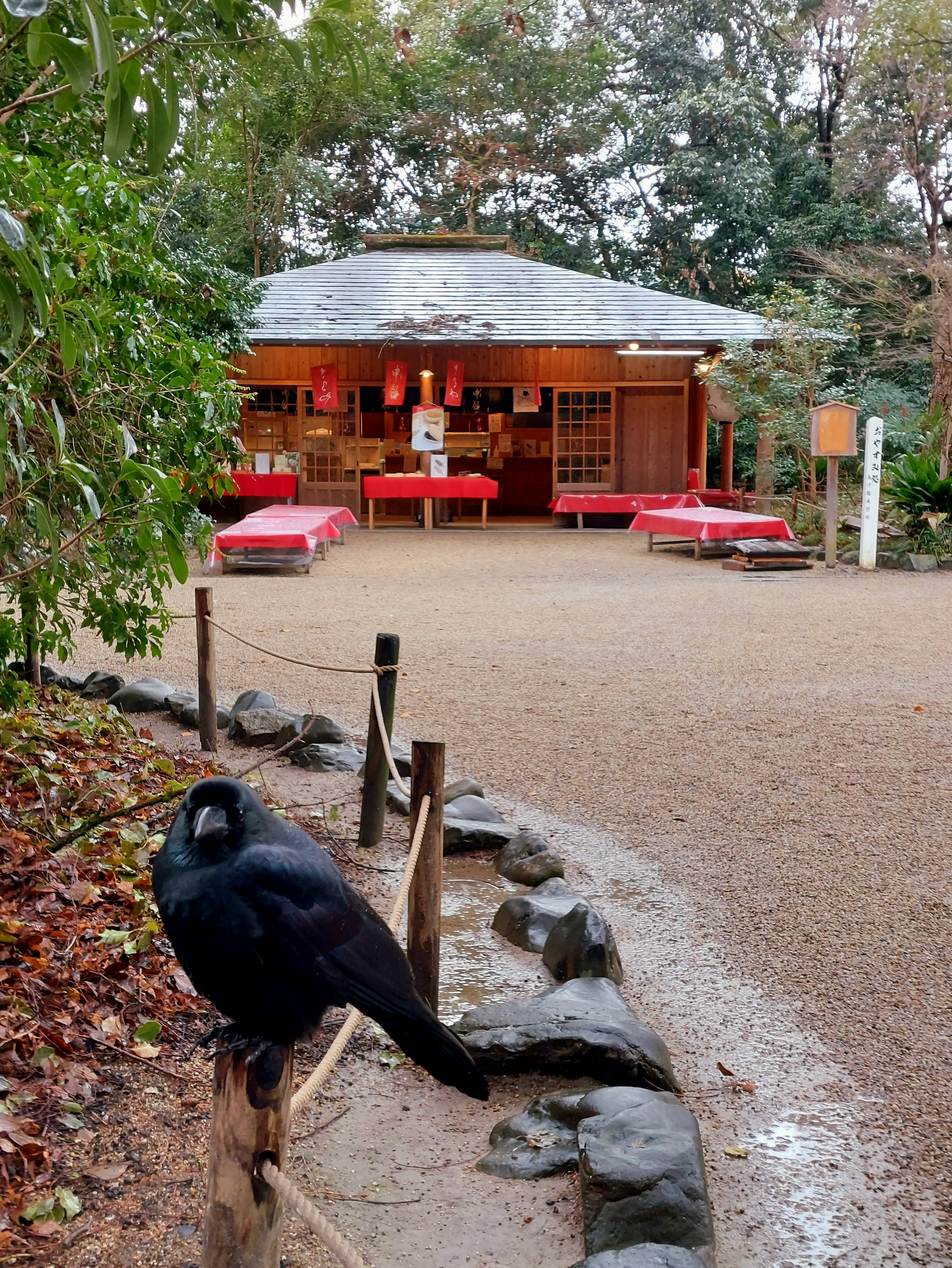 2024-06-summer-in-kyoto-image-5