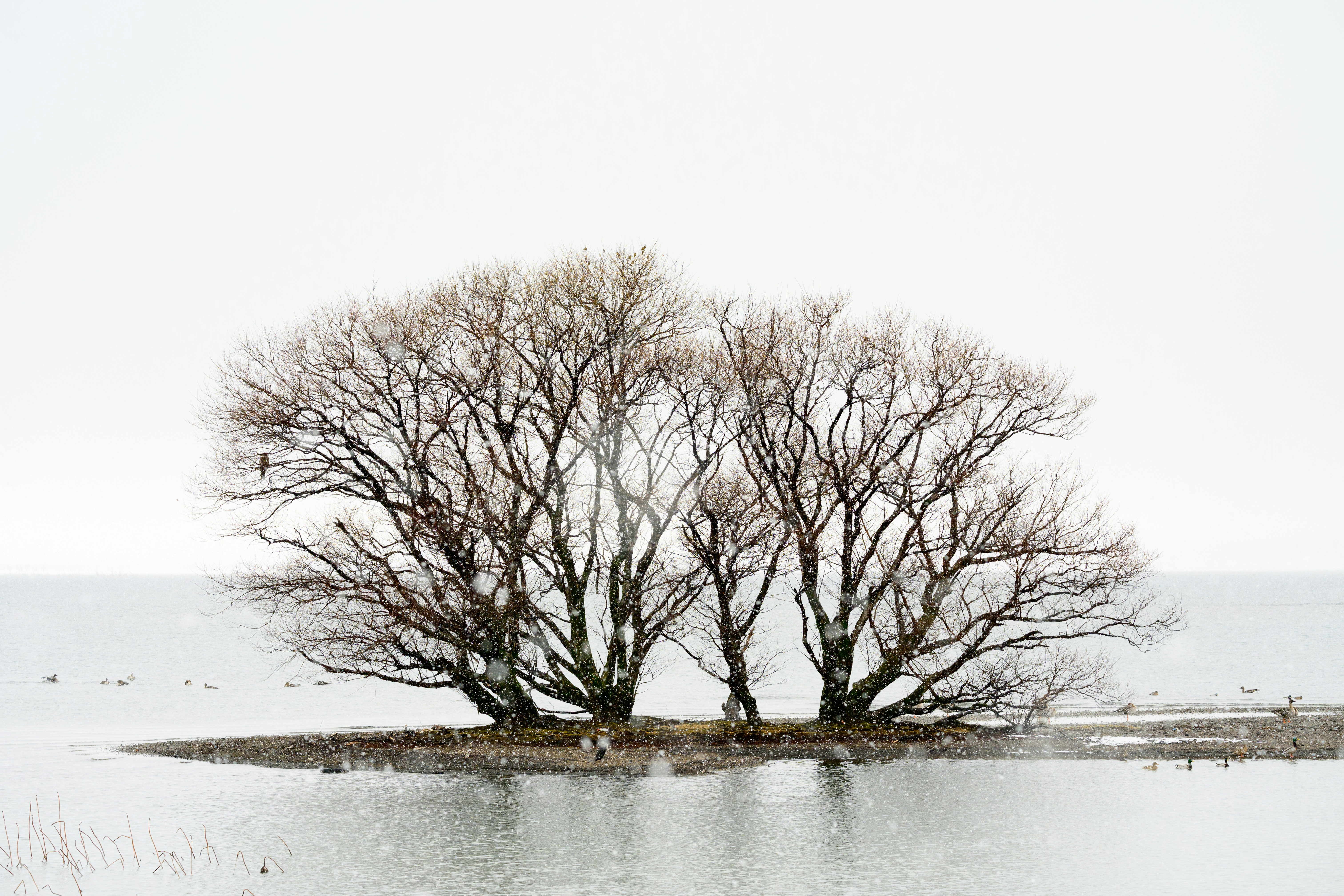 2026-02-adventure-awakened-by-camera-cover-image