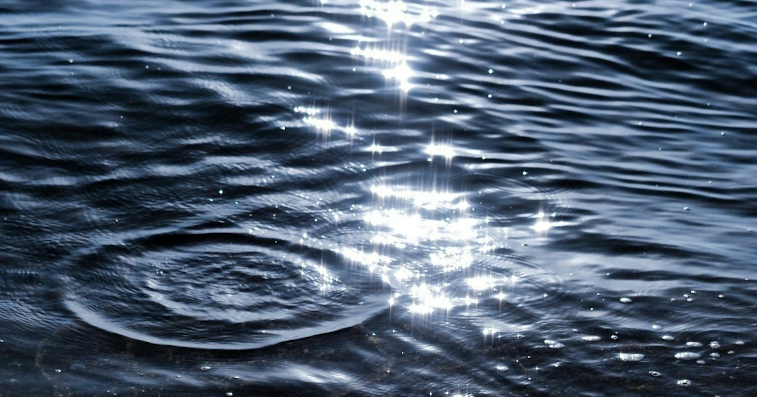 Read Your Photography | 水面にきらめく、小さな冒険 | Focus #745