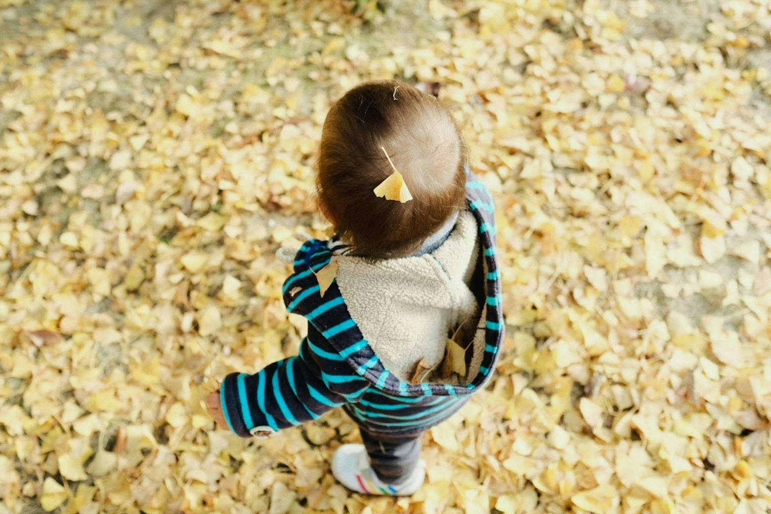 2025-11-trace-of-autumn-award-image-8