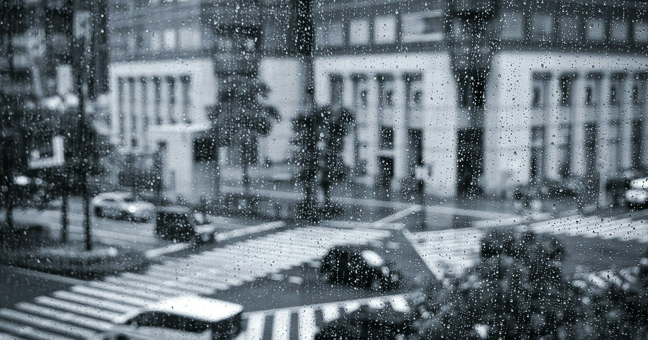 #rain | ภาพถ่ายที่ถ่ายได้เฉพาะในวันฝนตก | Focus #484