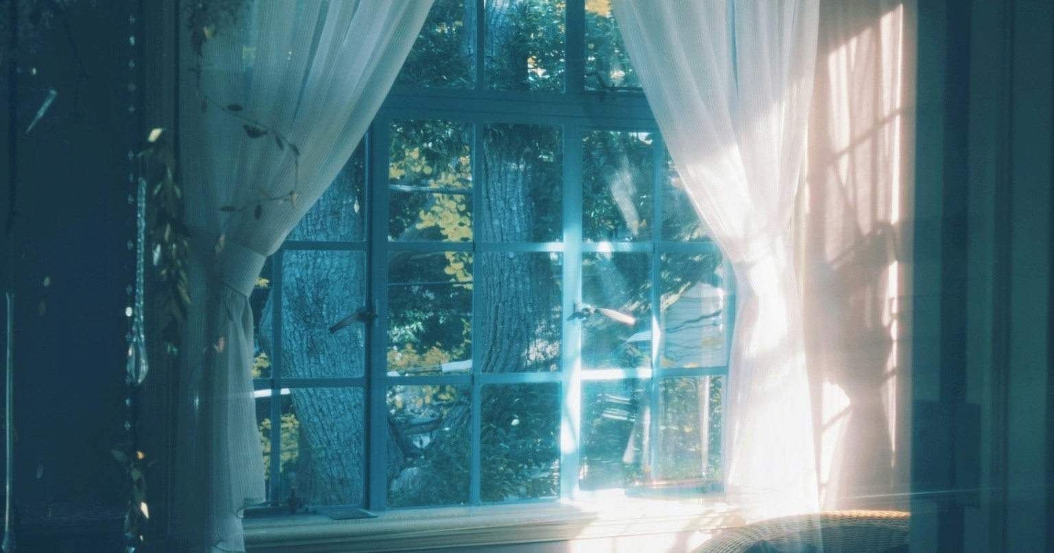 2026-01-shadows-of-window-light-cover-image