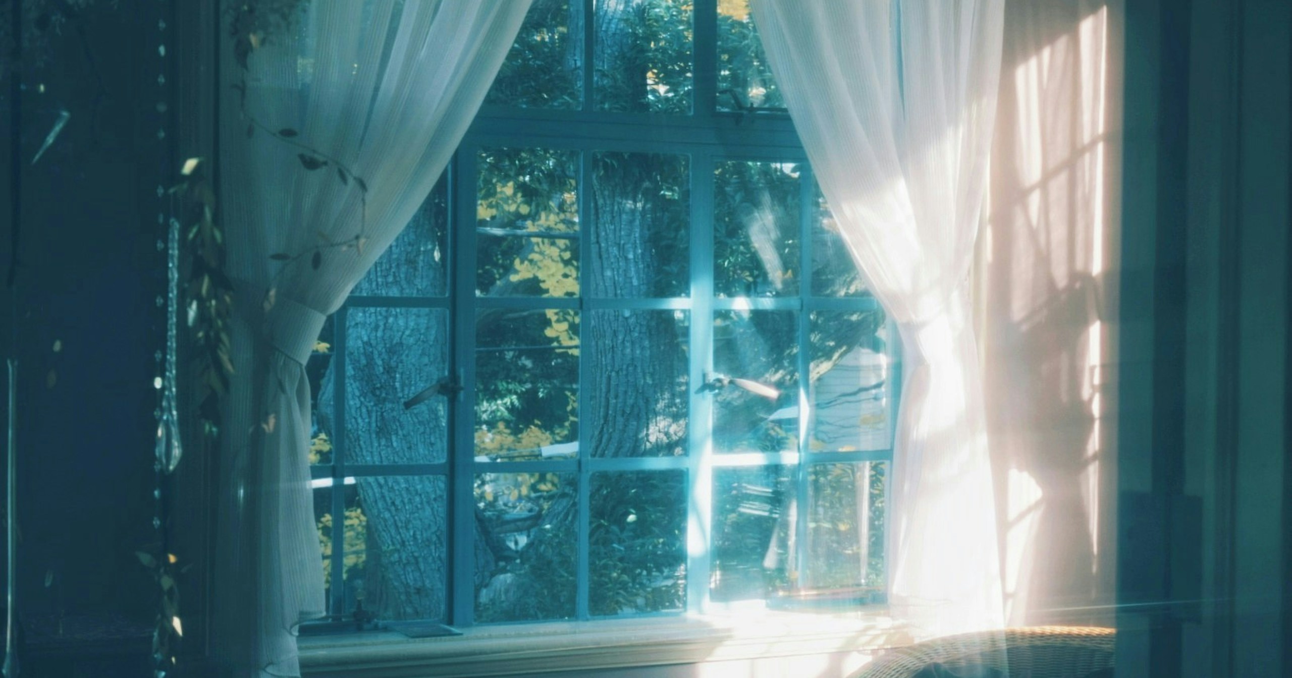Window Light Can Be 'Created': Gentle Light Design Inspired by Screens | Focus #592